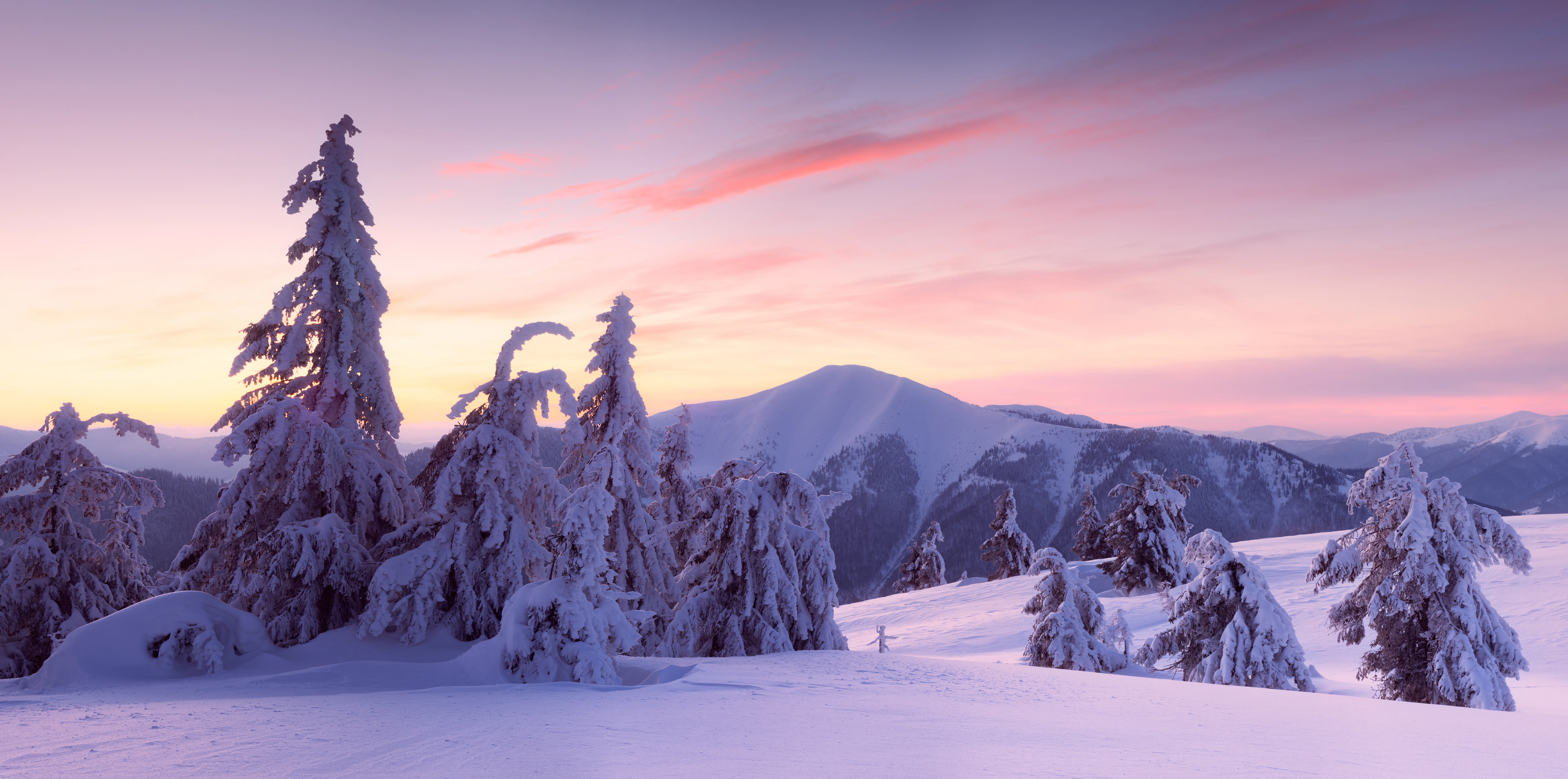 Snow-covered evergreen trees and a mountain range under a pink and purple sunset sky