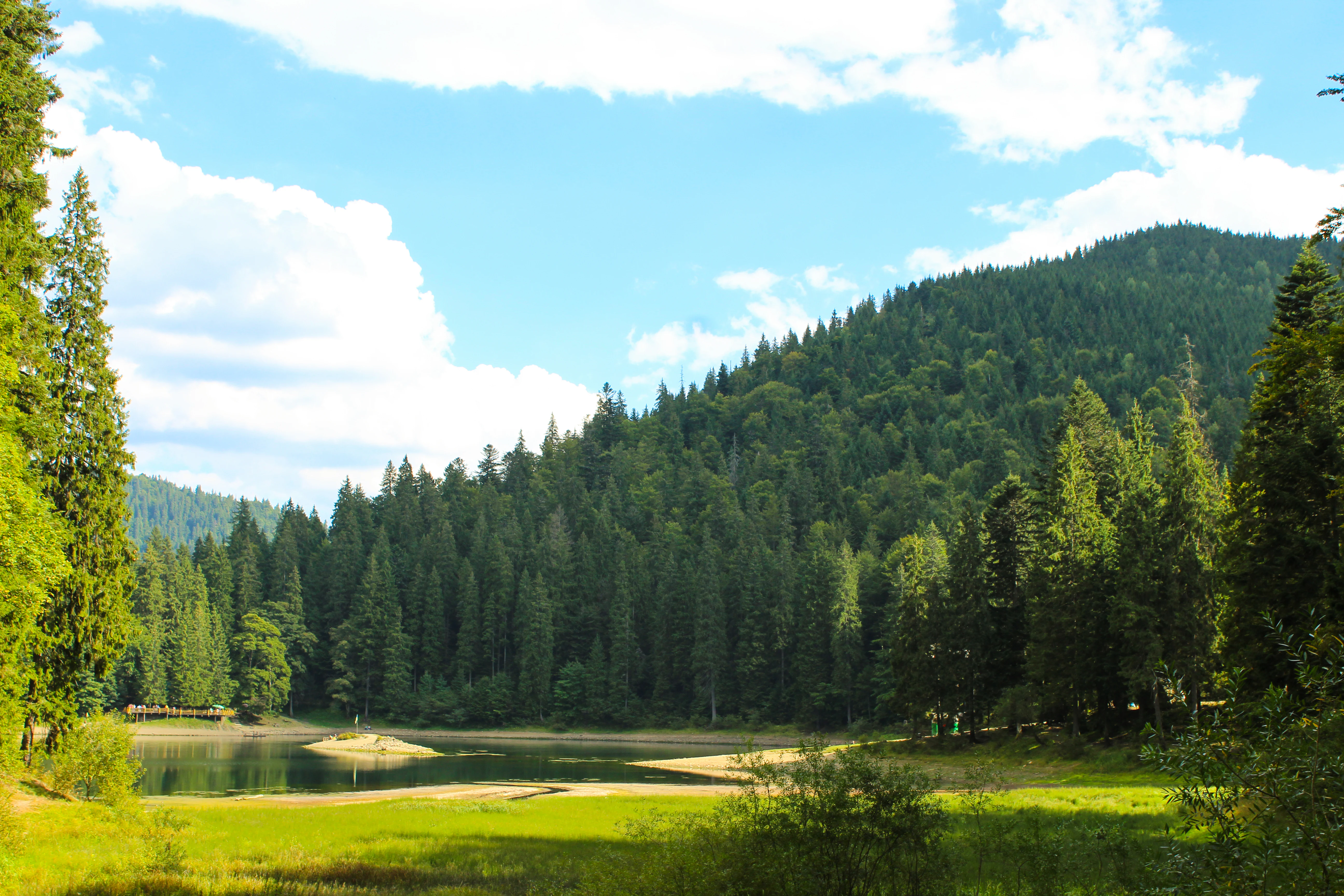 A scenic view of Lake Synevyr with dense evergreen forests, a calm lake reflecting the sky, and forested mountains in the background under a bright blue sky with scattered clouds