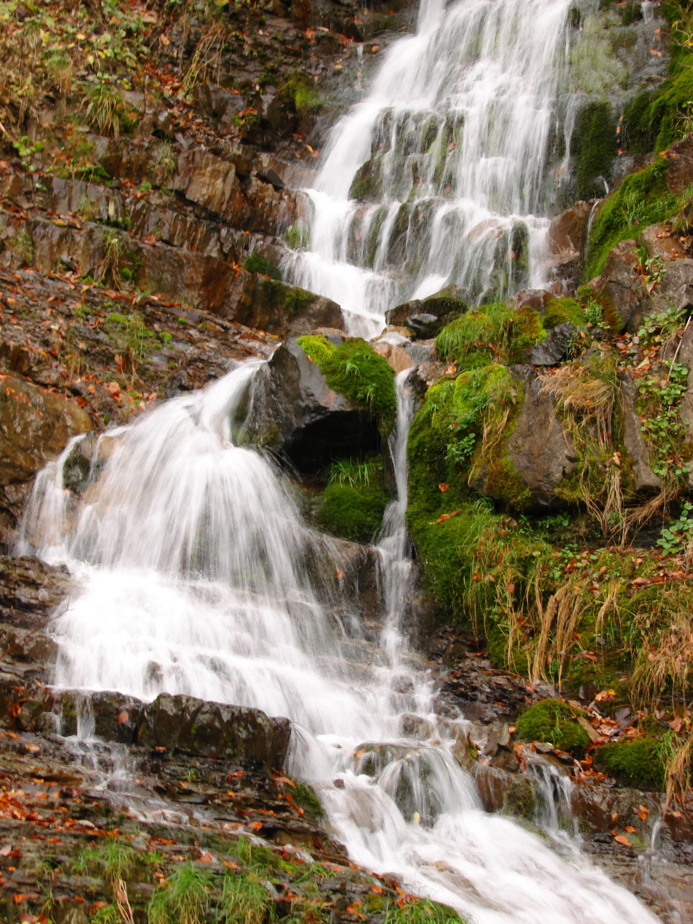 Waterfall flowing over moss-covered rocks with greenery and fallen leaves