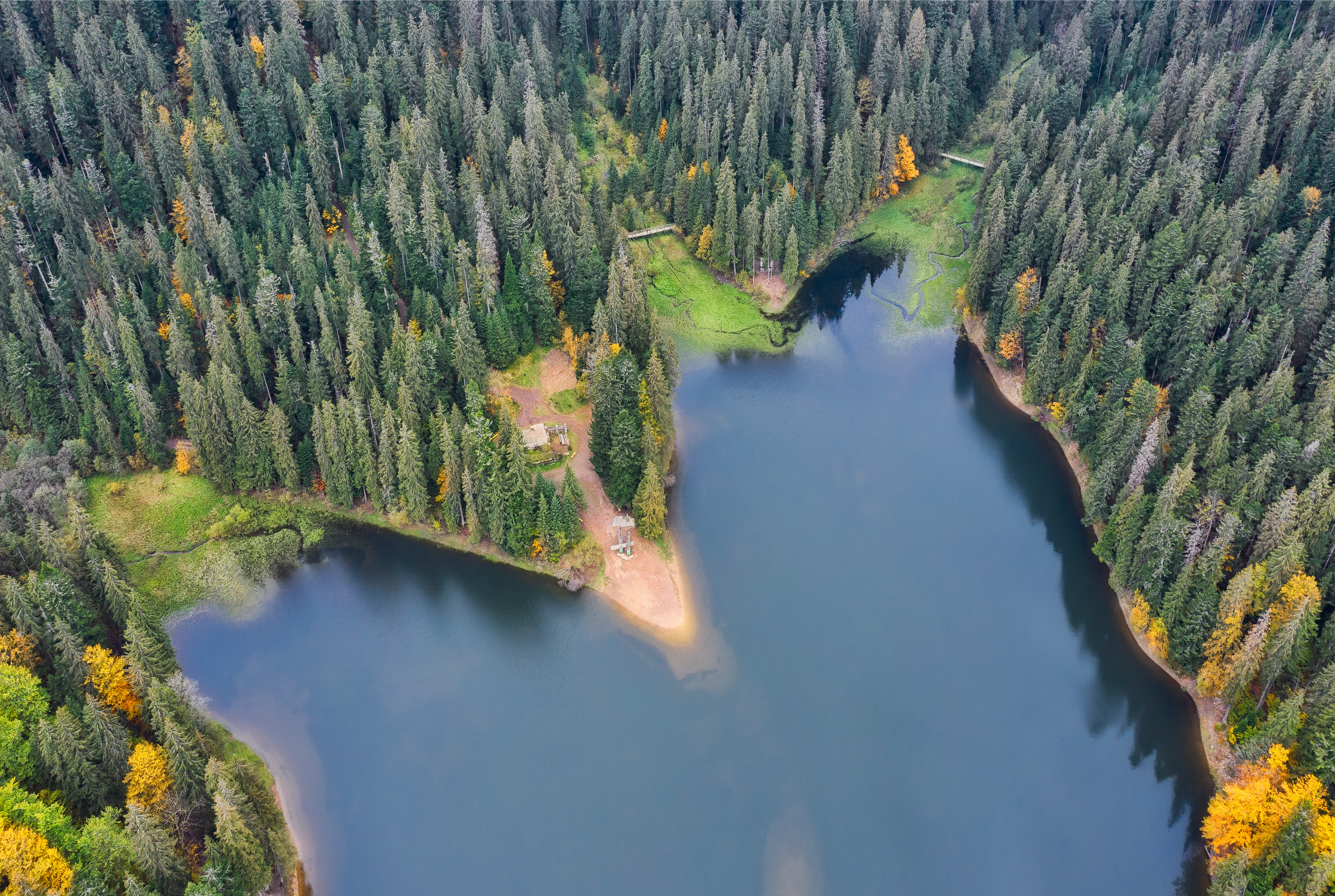 Aerial view of a lake surrounded by dense forest with autumn foliage