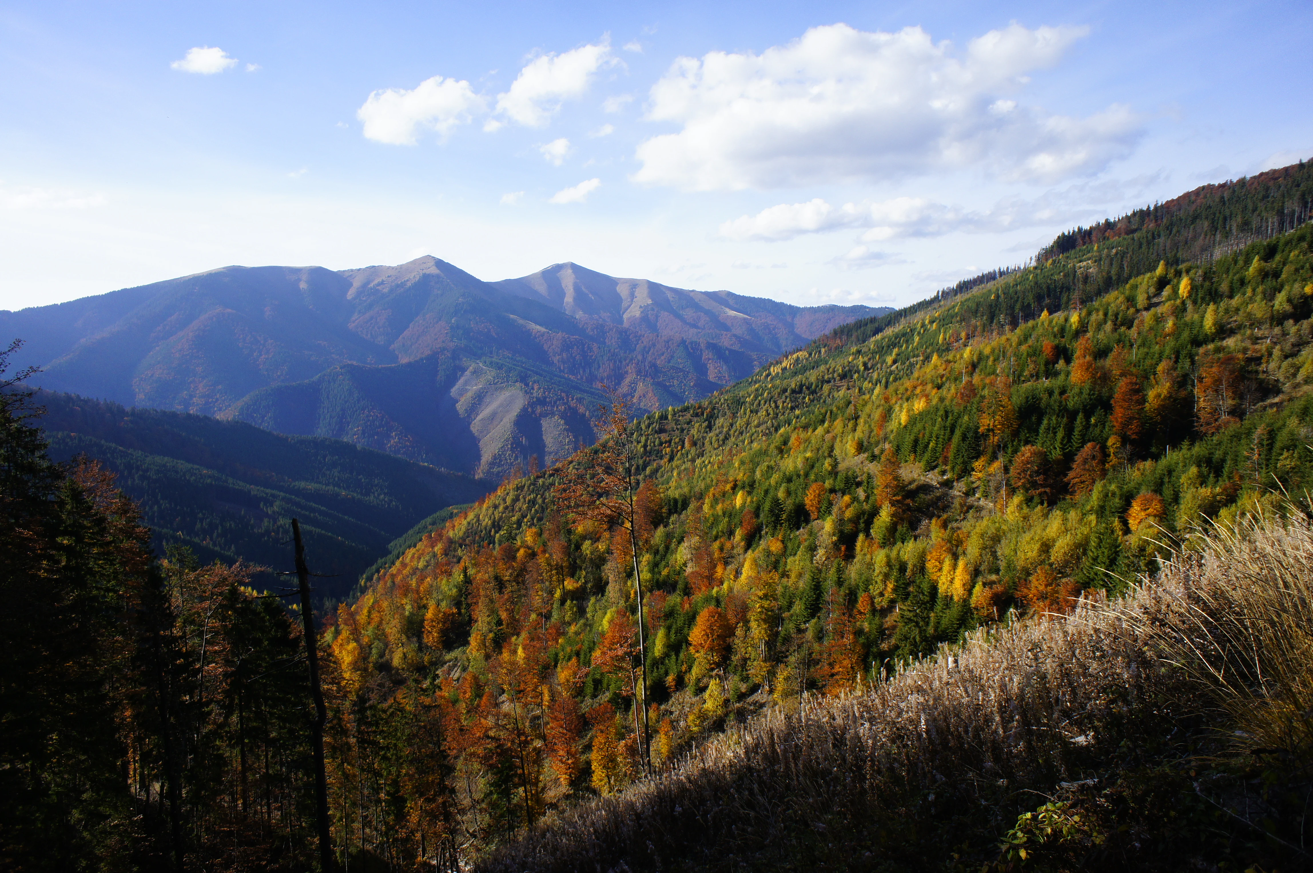 Rolling mountains with autumn-colored forests under a clear sky