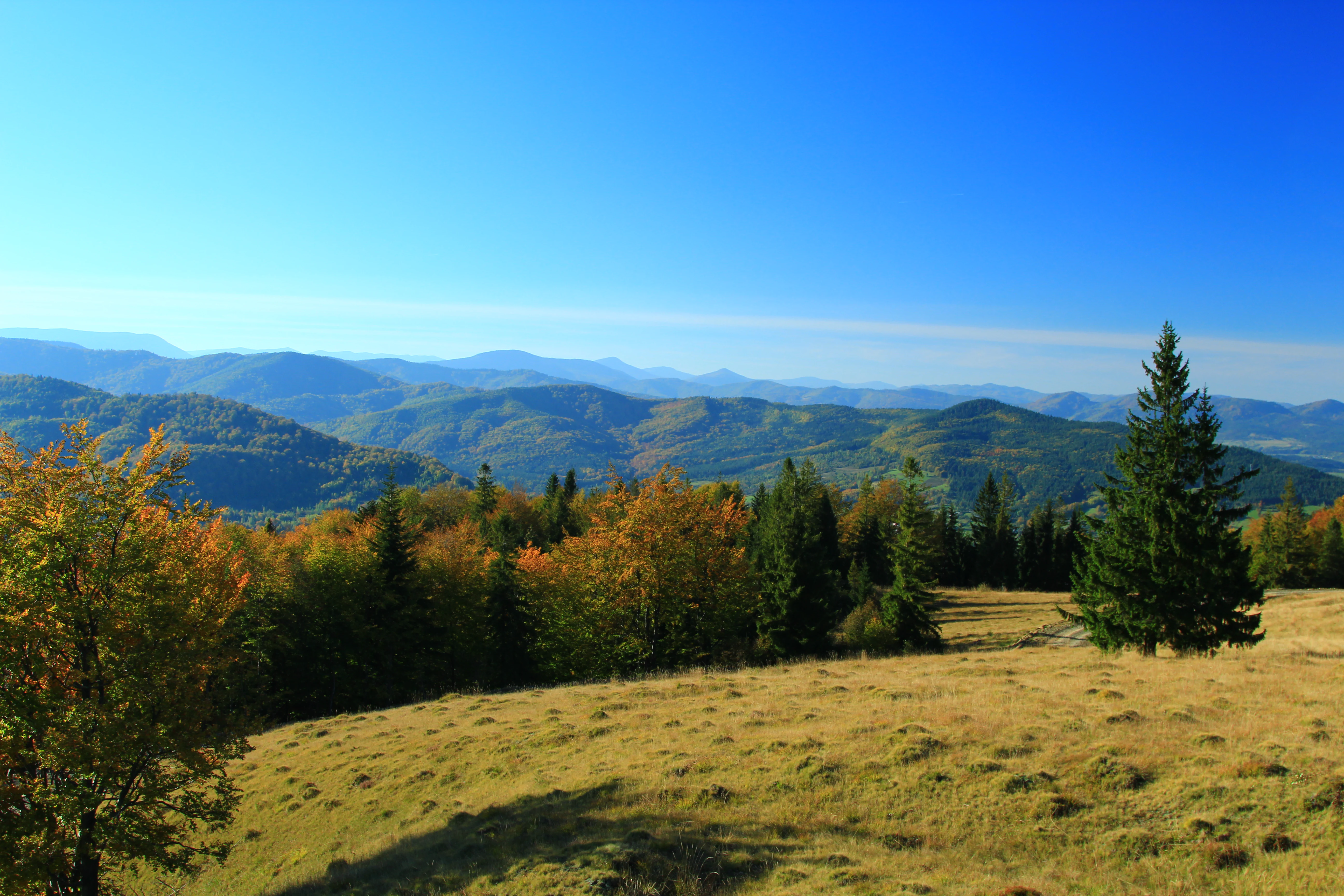 Grassy hilltop with scattered trees, autumn foliage, and mountain ranges under a clear blue sky