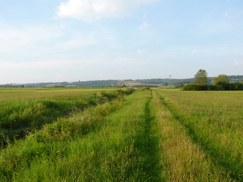 A wide, grassy meadow landscape with a dirt track path leading toward a rolling hillside in the distance under a blue sky with light clouds.