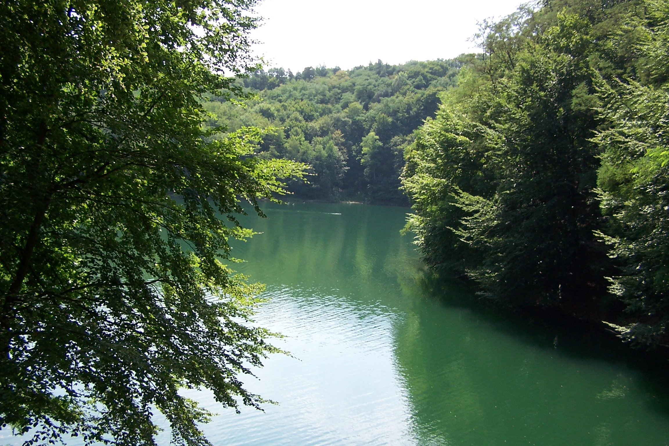 A calm emerald-green lake surrounded by dense green forest, with tree branches framing the left side of the view and forested hills in the background.