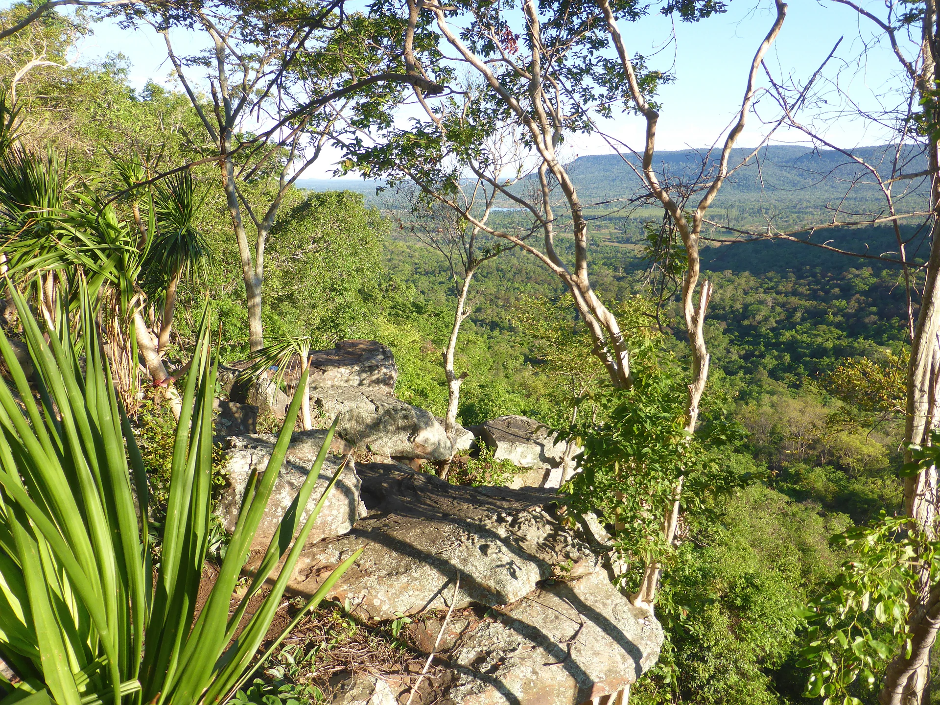 Rocky outcrop with lush green vegetation and distant hills under clear sky