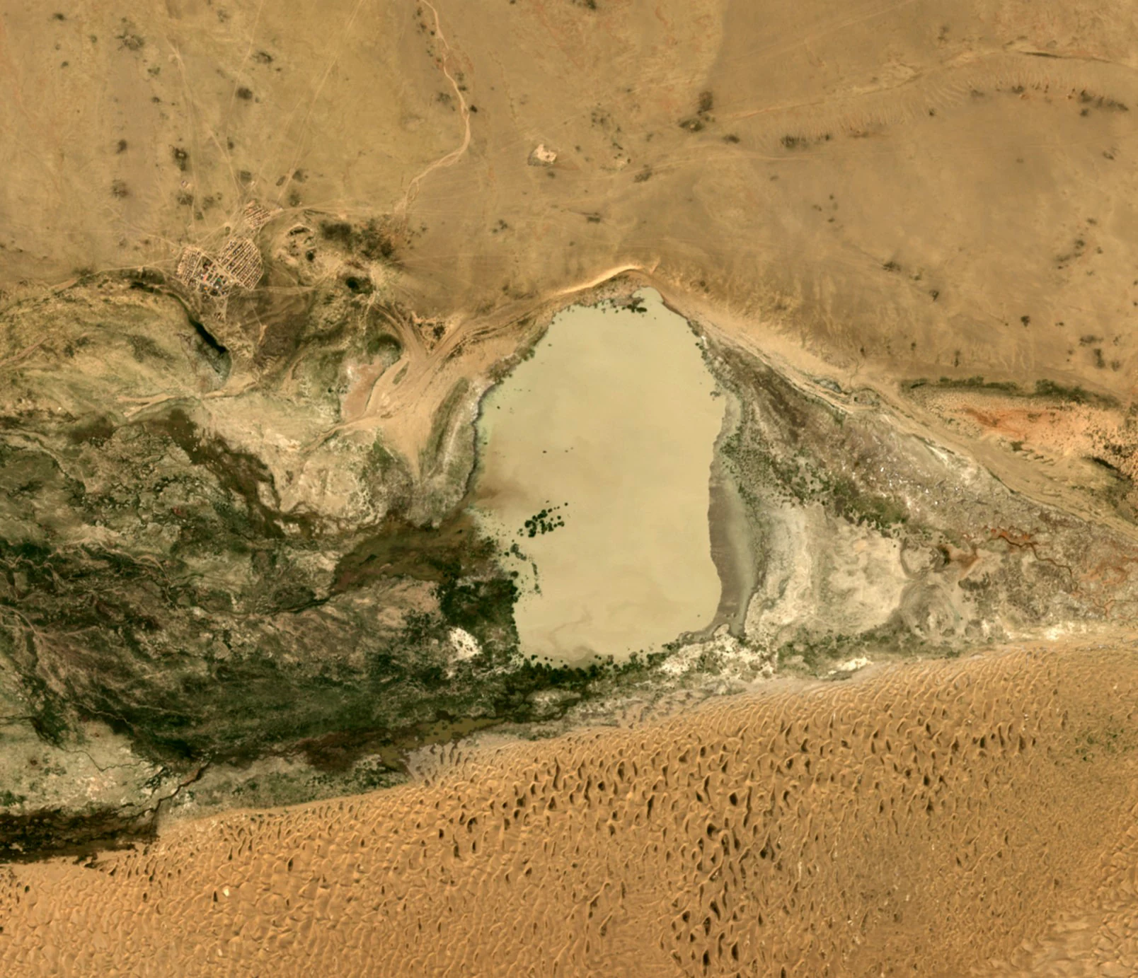 Satellite imagery of a central saline lake surrounded by arid desert, scrubland, and rocky textures in southern Mongolia.