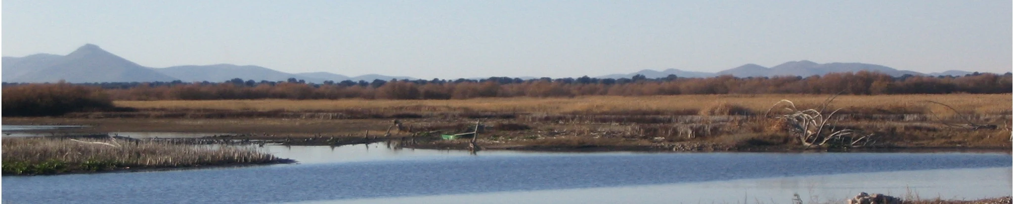 Wide view of a wetland area with calm water, reeds, and grassy fields under a clear sky with distant mountains