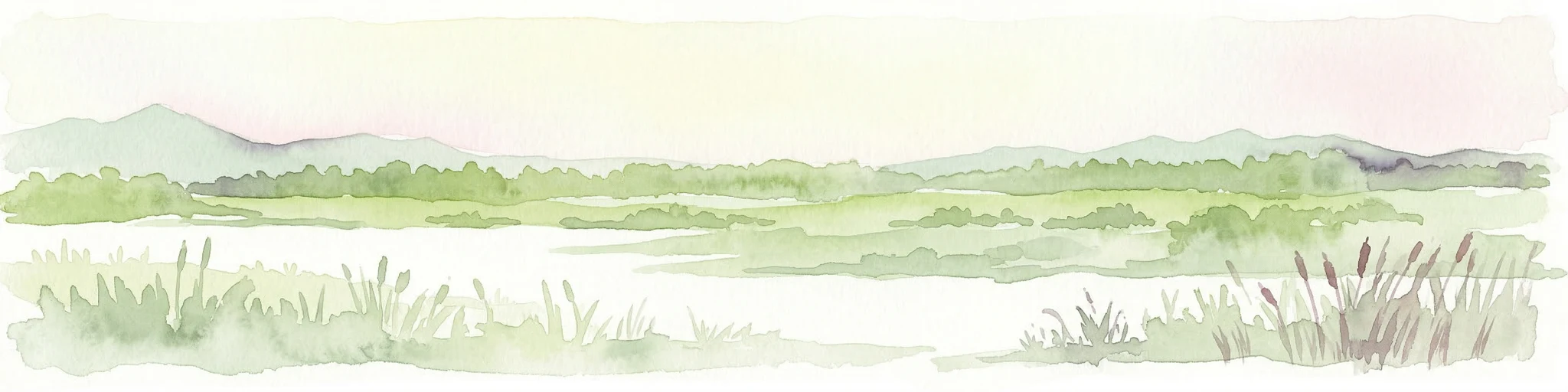 Ilustración en acuarela que muestra un paisaje de humedal con hierbas, un cuerpo de agua y colinas distantes