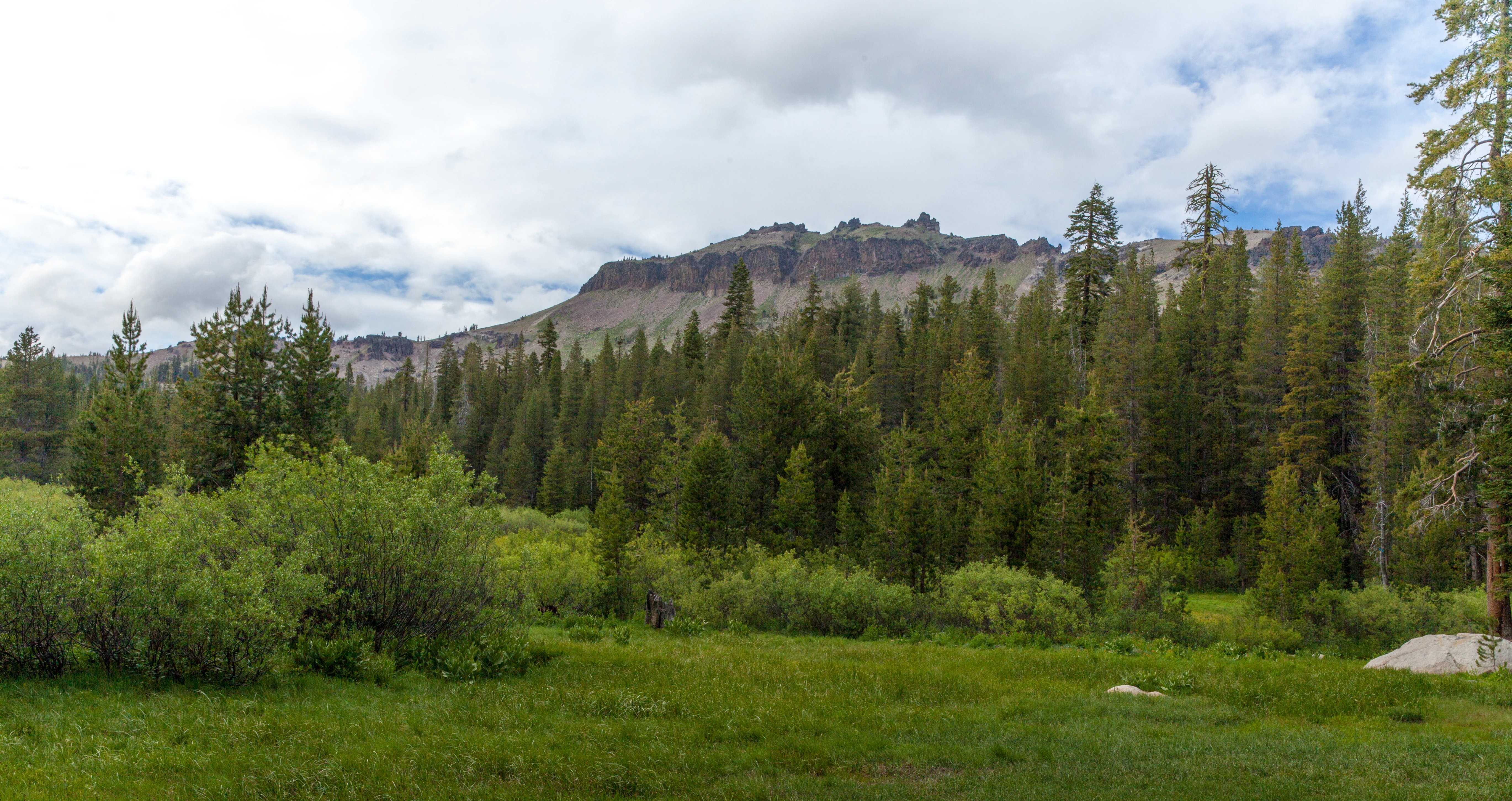 A wide, eye level view of a green meadow in the foreground transitioning into a dense coniferous forest and rocky mountain ridgeline under a partly cloudy sky.