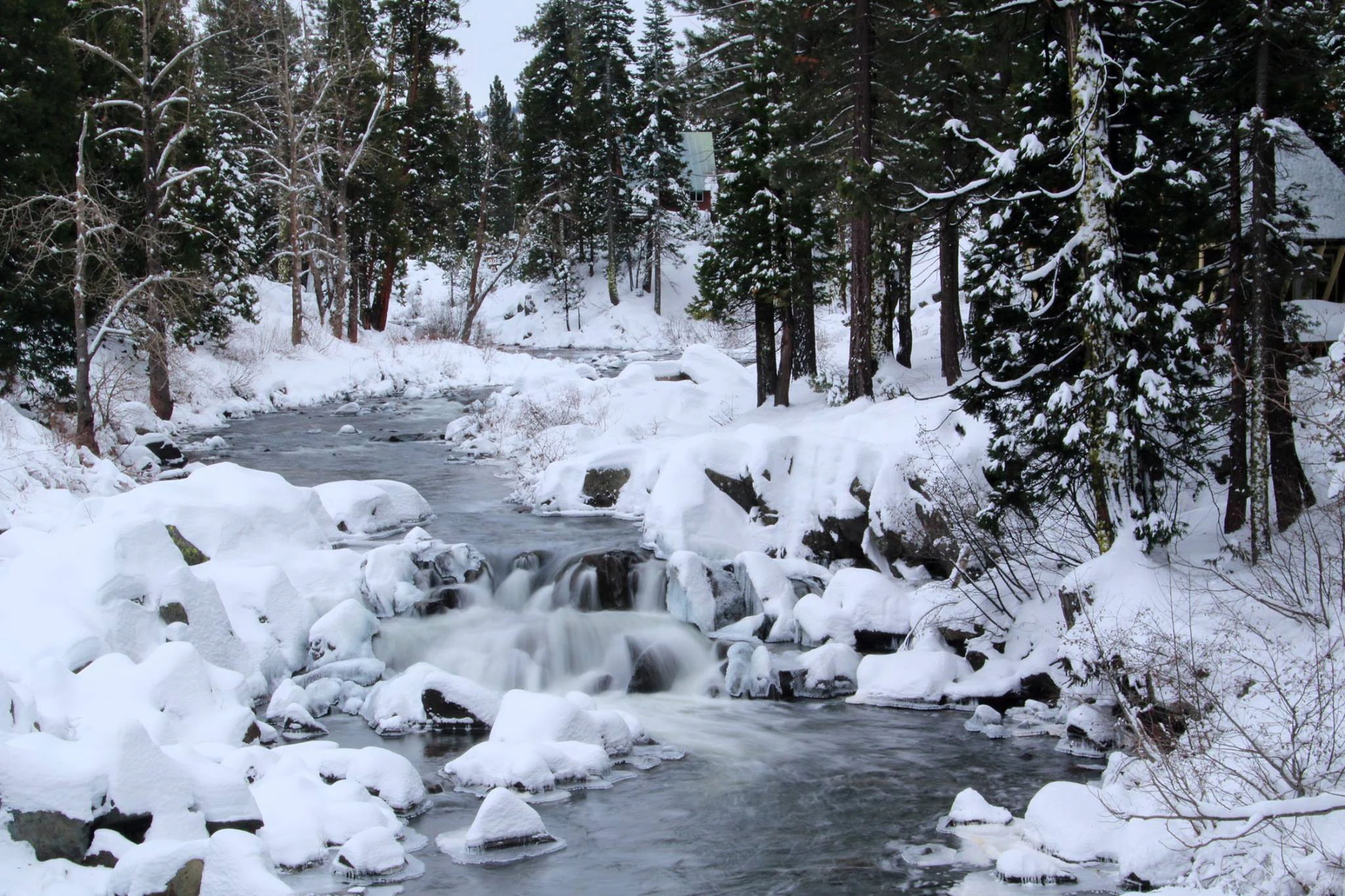 A rushing stream flows through a snow covered forest with ice and snow draped over the surrounding trees and rocks.