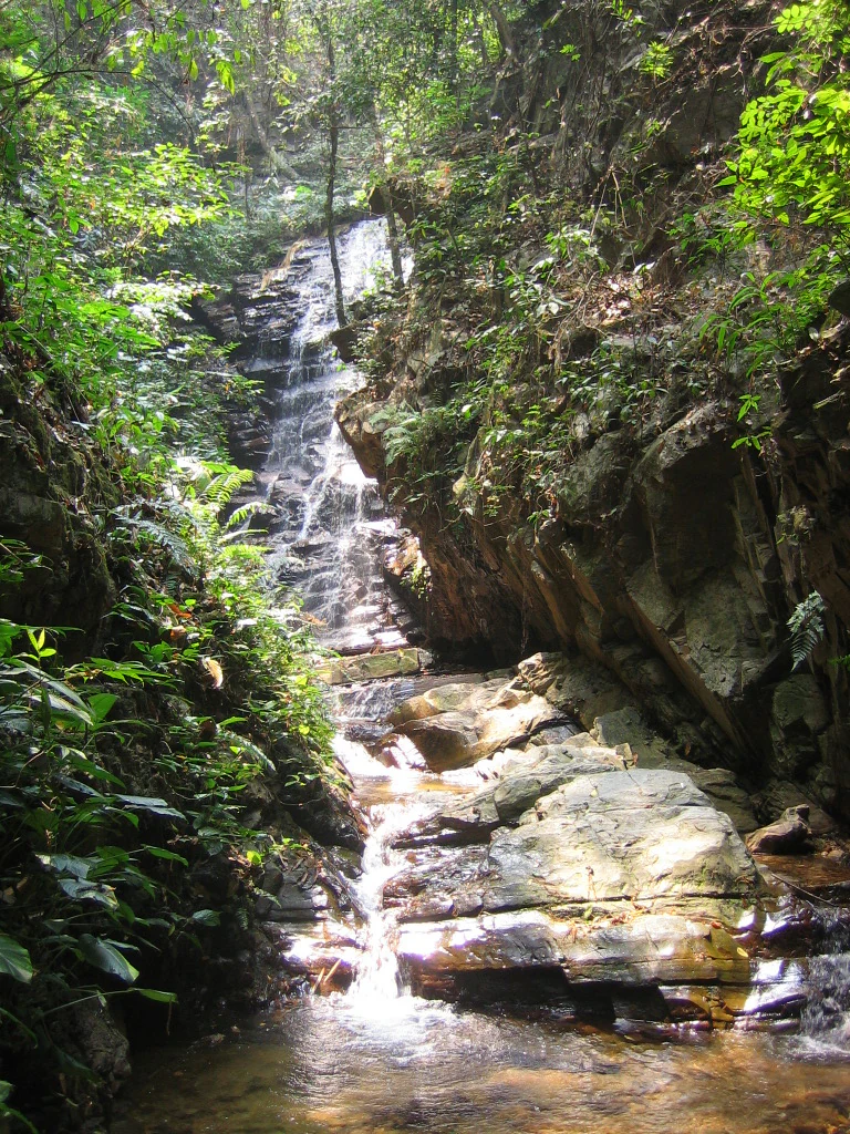 Waterfall flowing over rocks in a forested area with dense green vegetation
