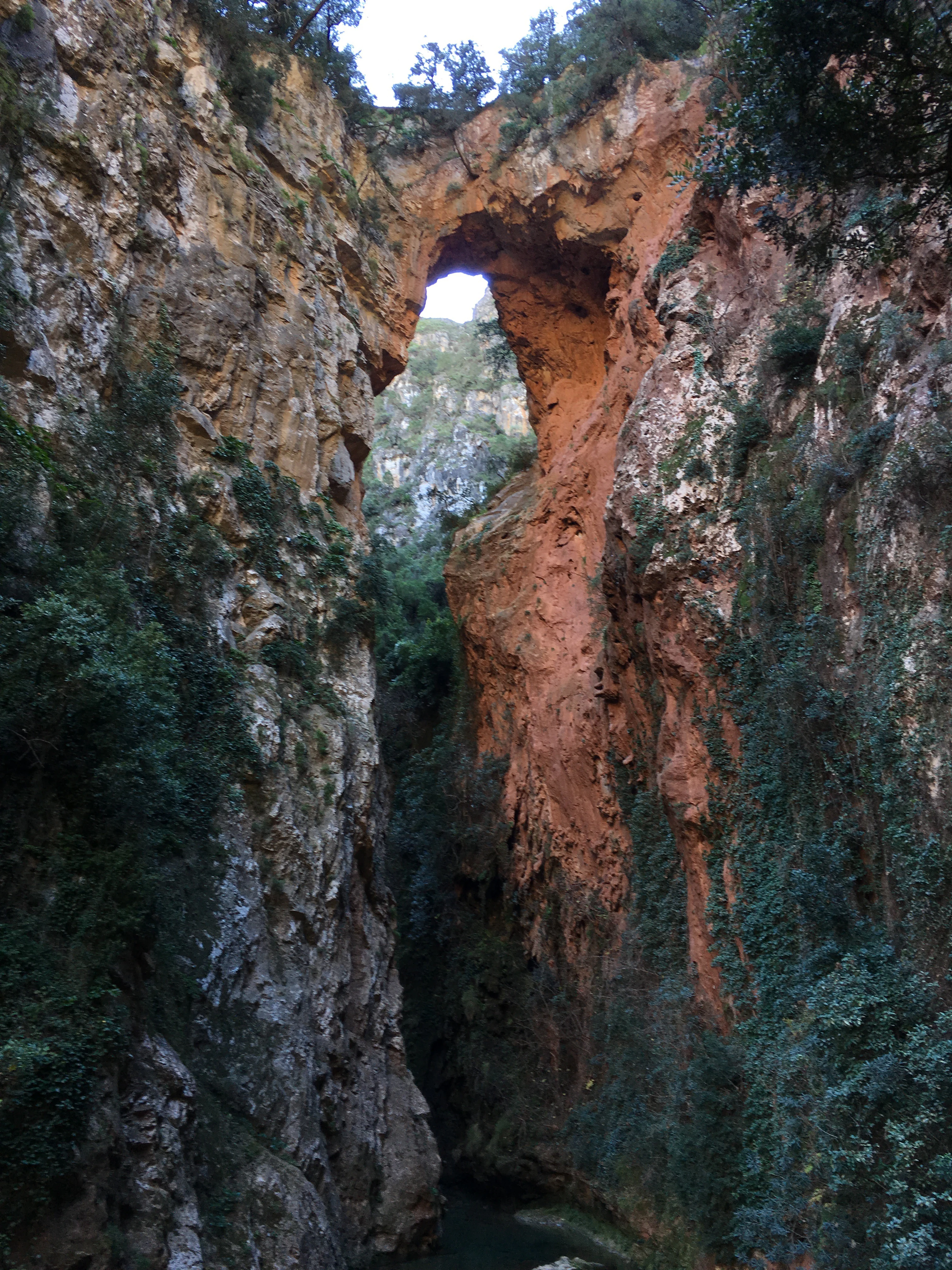 Arco natural de roca entre acantilados rocosos escarpados con vegetación y agua en la base