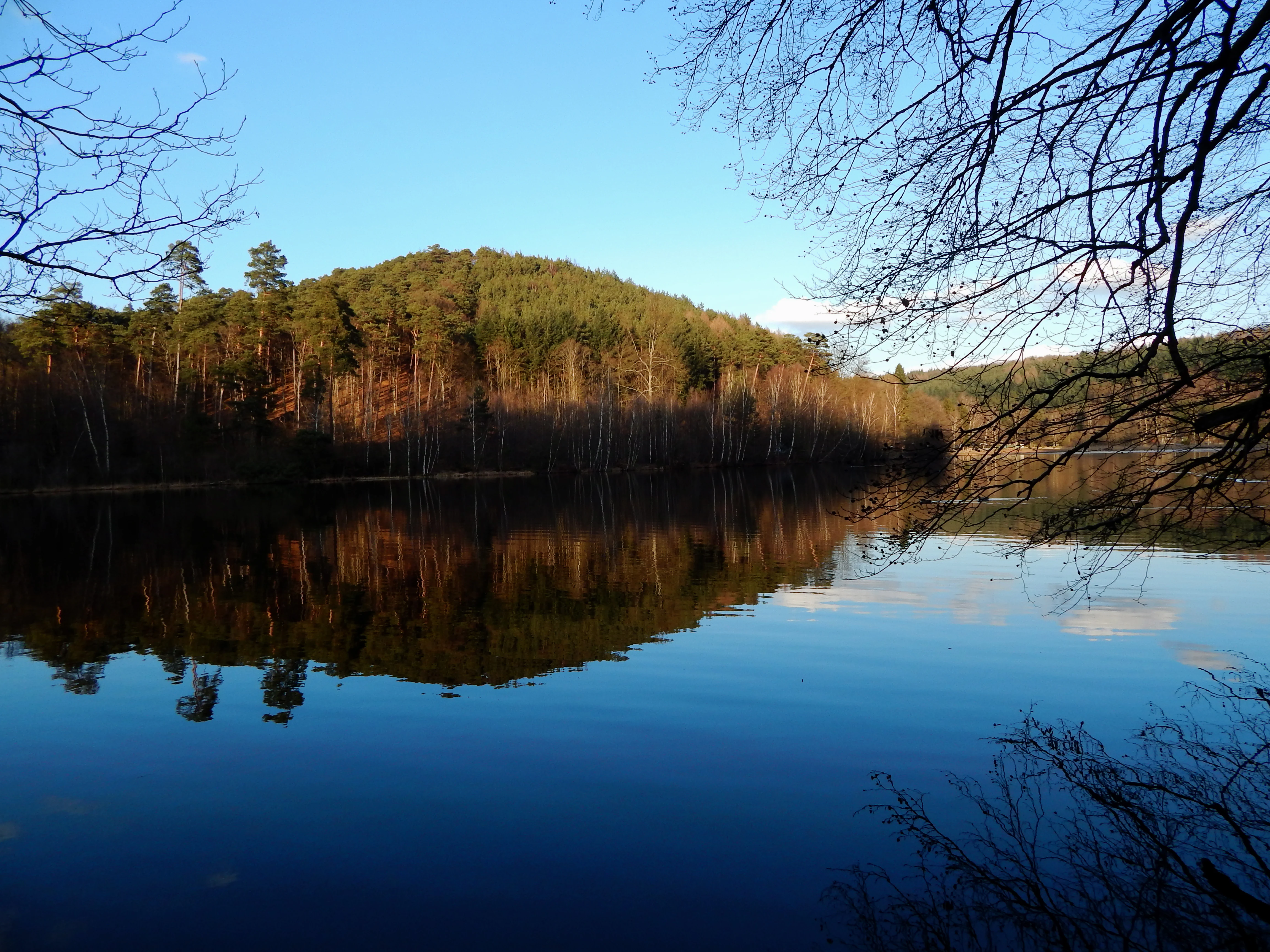 A serene lake view with dark blue water reflecting a tree-covered hill under a clear blue sky, framed by out-of-focus tree branches in the foreground.