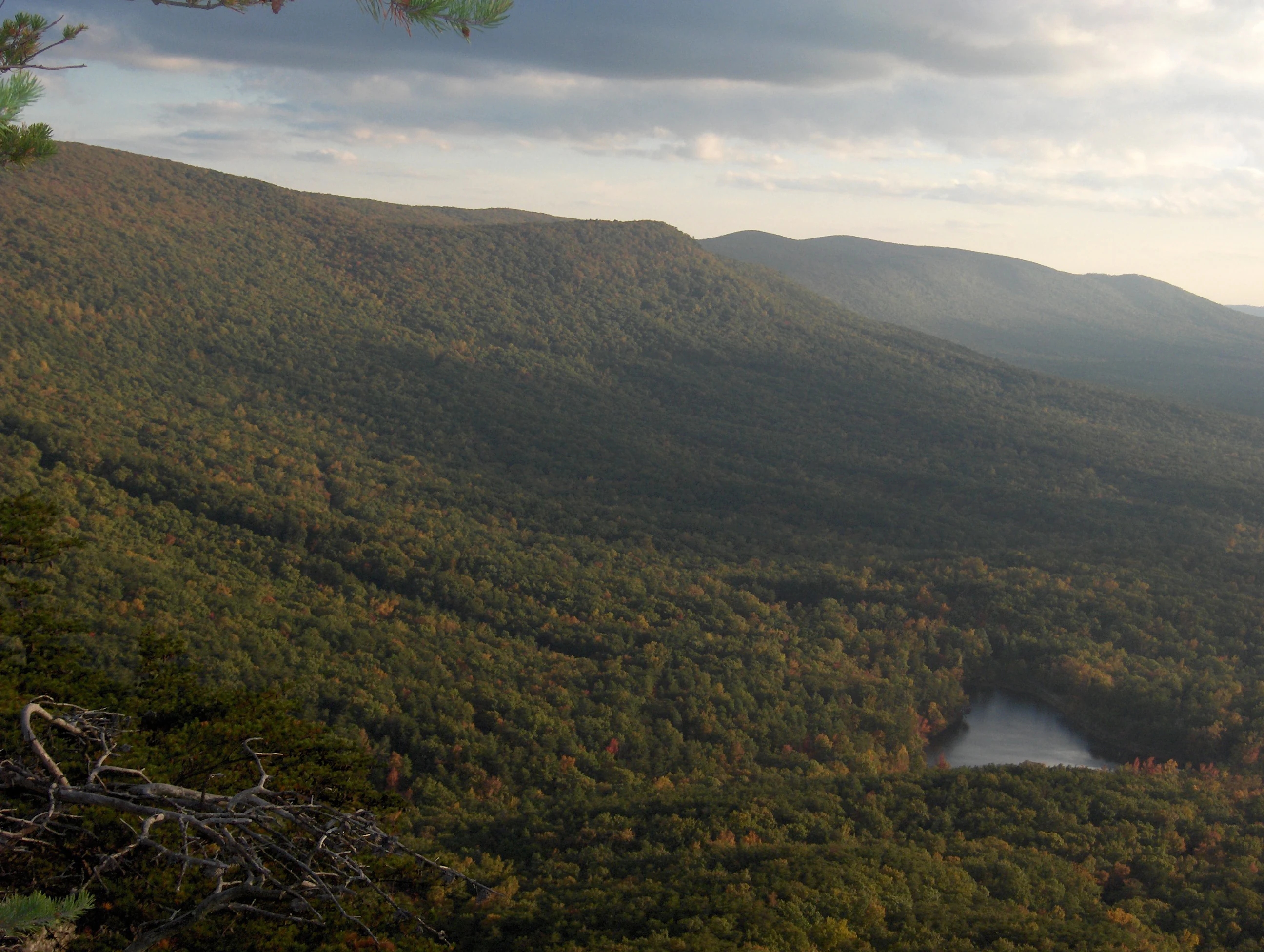 An elevated, wide-angle view of a dense forest spanning rolling hills and mountains in autumn, with a small lake visible in the lower right and cloudy skies above.