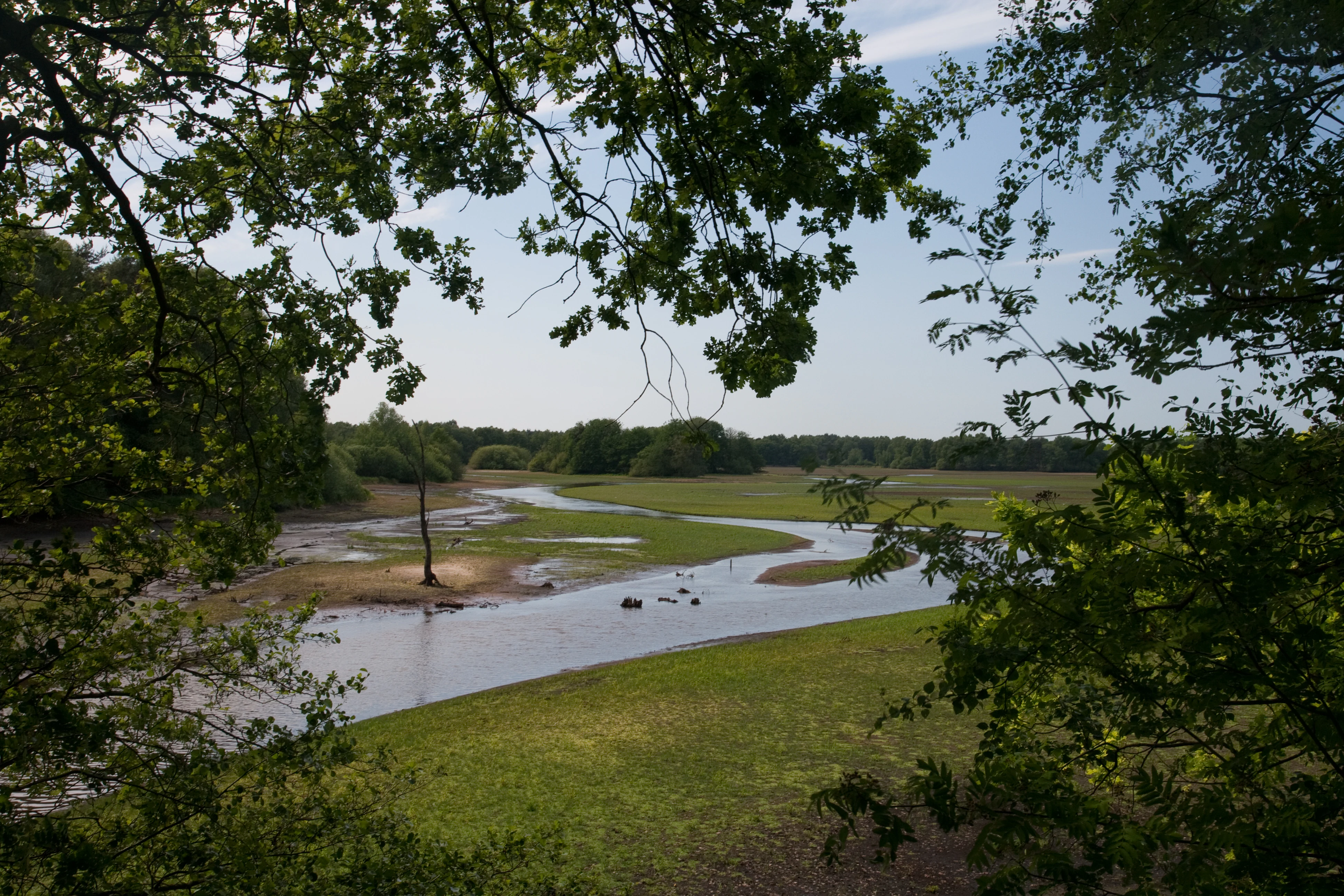A winding river flows through a grassy wetland area, framed by the dark green leaves of overhanging trees.