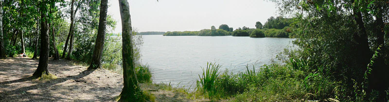 A wide panoramic photograph showing the Thülsfeld Reservoir with calm water, framed by trees on the left and dense green shore vegetation on the right.