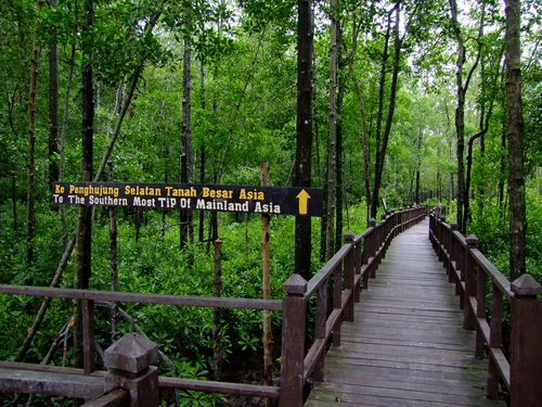 Un sendero de tablones de madera serpentea a través de un denso manglar con un cartel que señala hacia el extremo más meridional de la Asia continental.