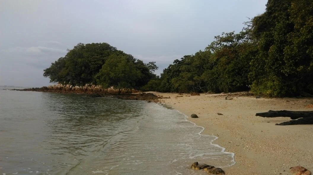 A sandy beach meets calm water with a dense forest line and rocky shore under an overcast sky.