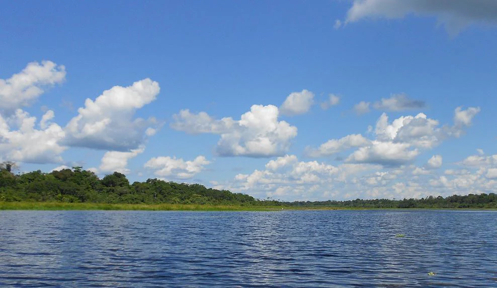A wide, calm river flowing through a lush green Amazonian forest under a bright blue sky with scattered clouds.