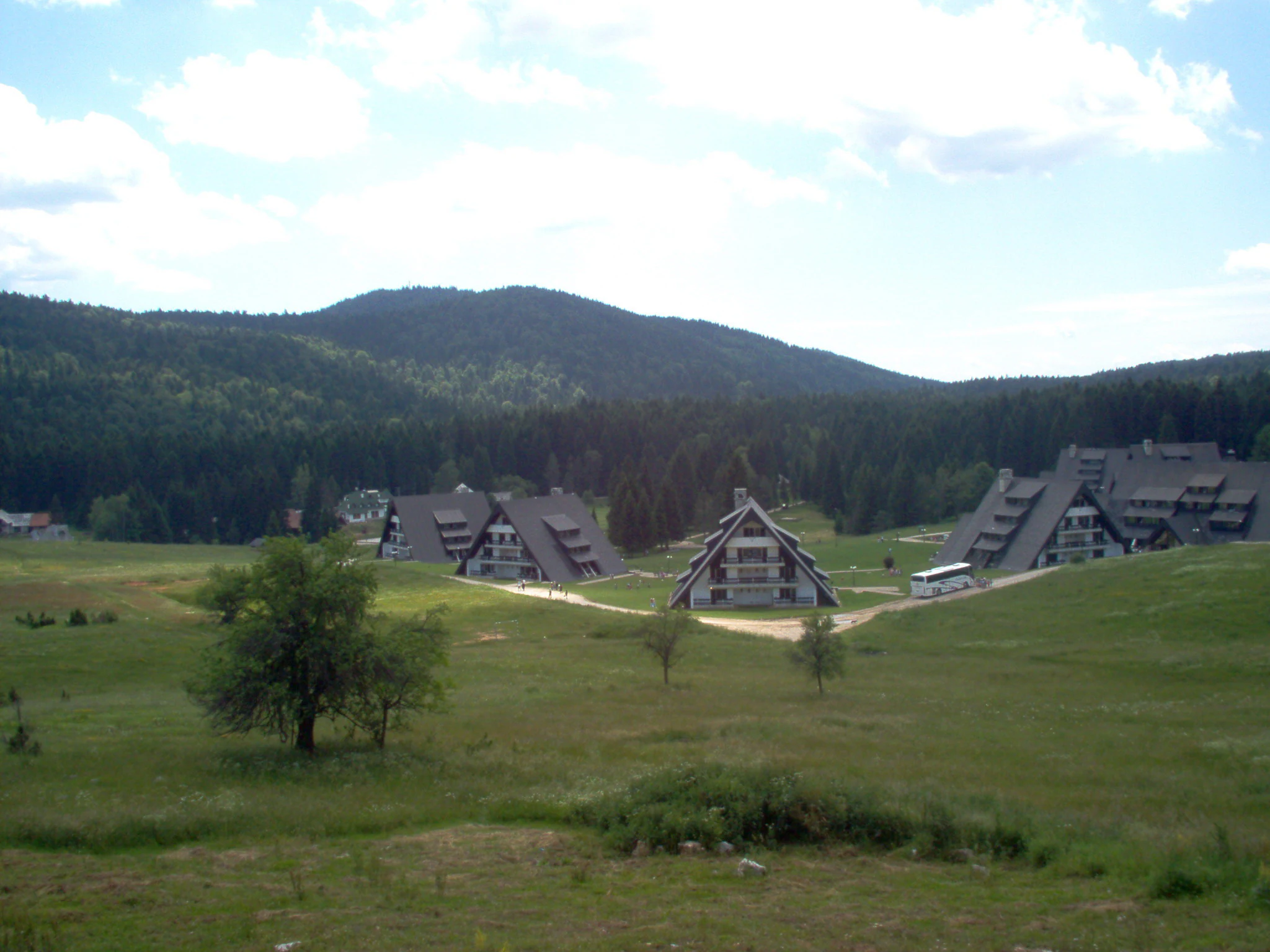 Grassy field with several chalet-style buildings, a single tree in the foreground, and forested mountains under a partly cloudy sky