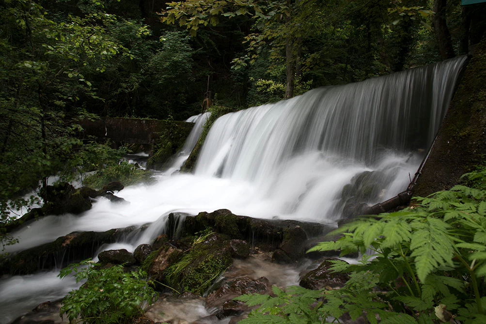 Waterfall cascading over rocks surrounded by dense green foliage and trees