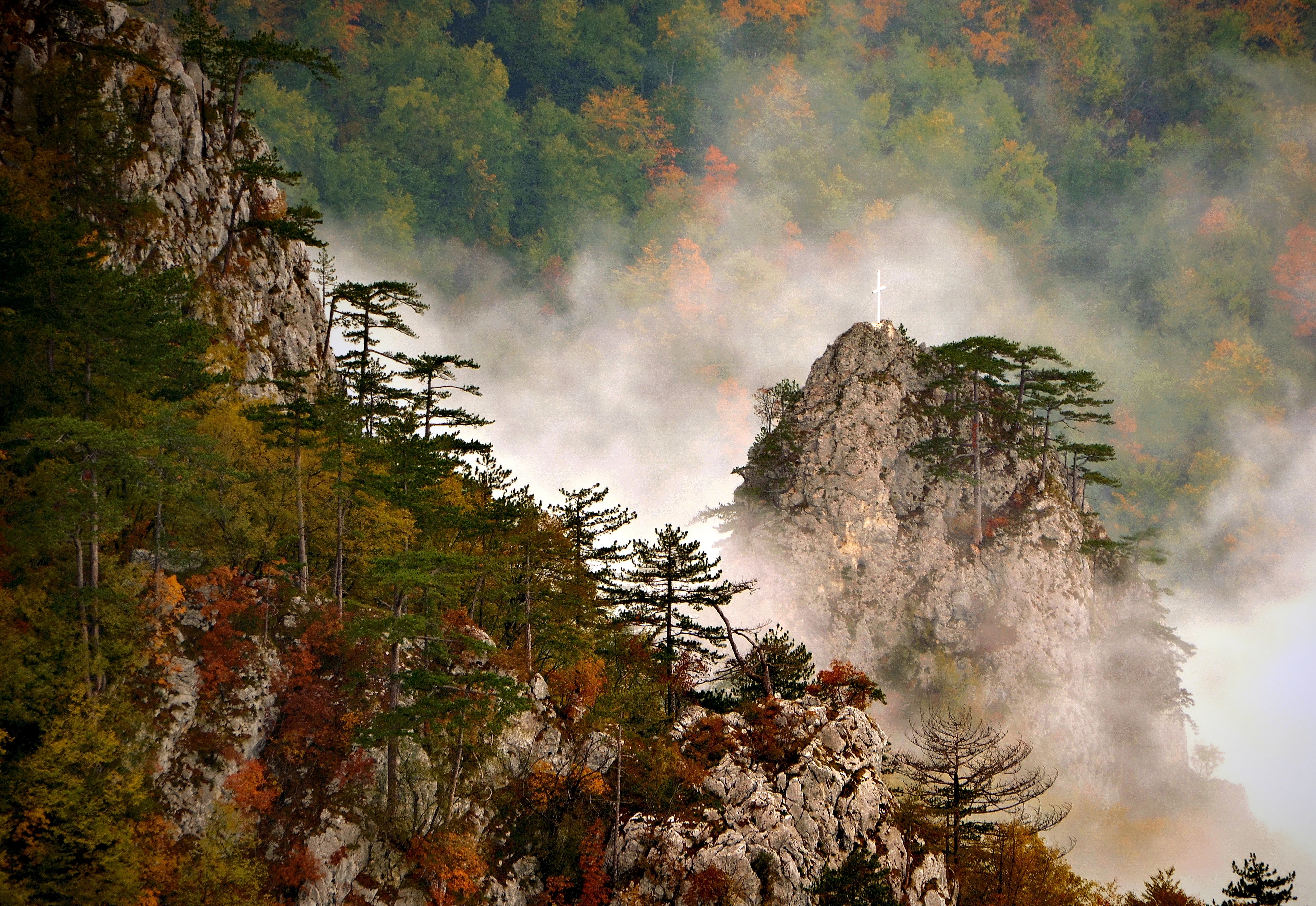 Rocky cliffs and forested hillsides with mist, viewed from Crnjeskovo viewpoint in Tara National Park