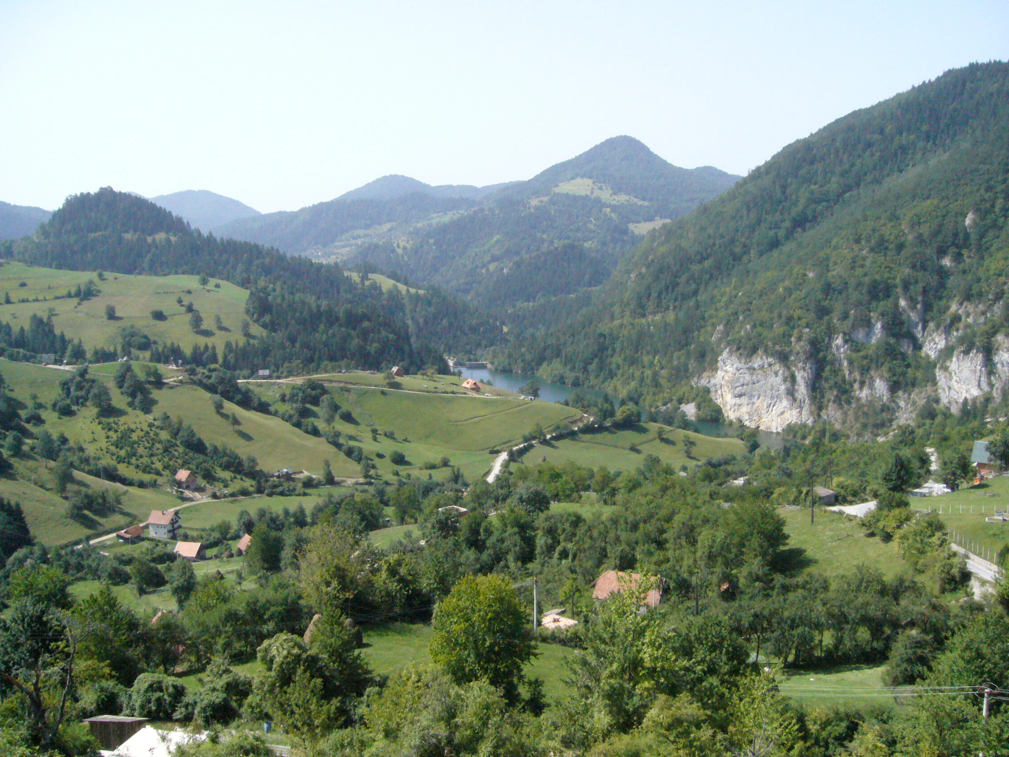 A wide scenic view of Tara National Park with rolling green hills, a river valley, and forested mountains under a clear sky