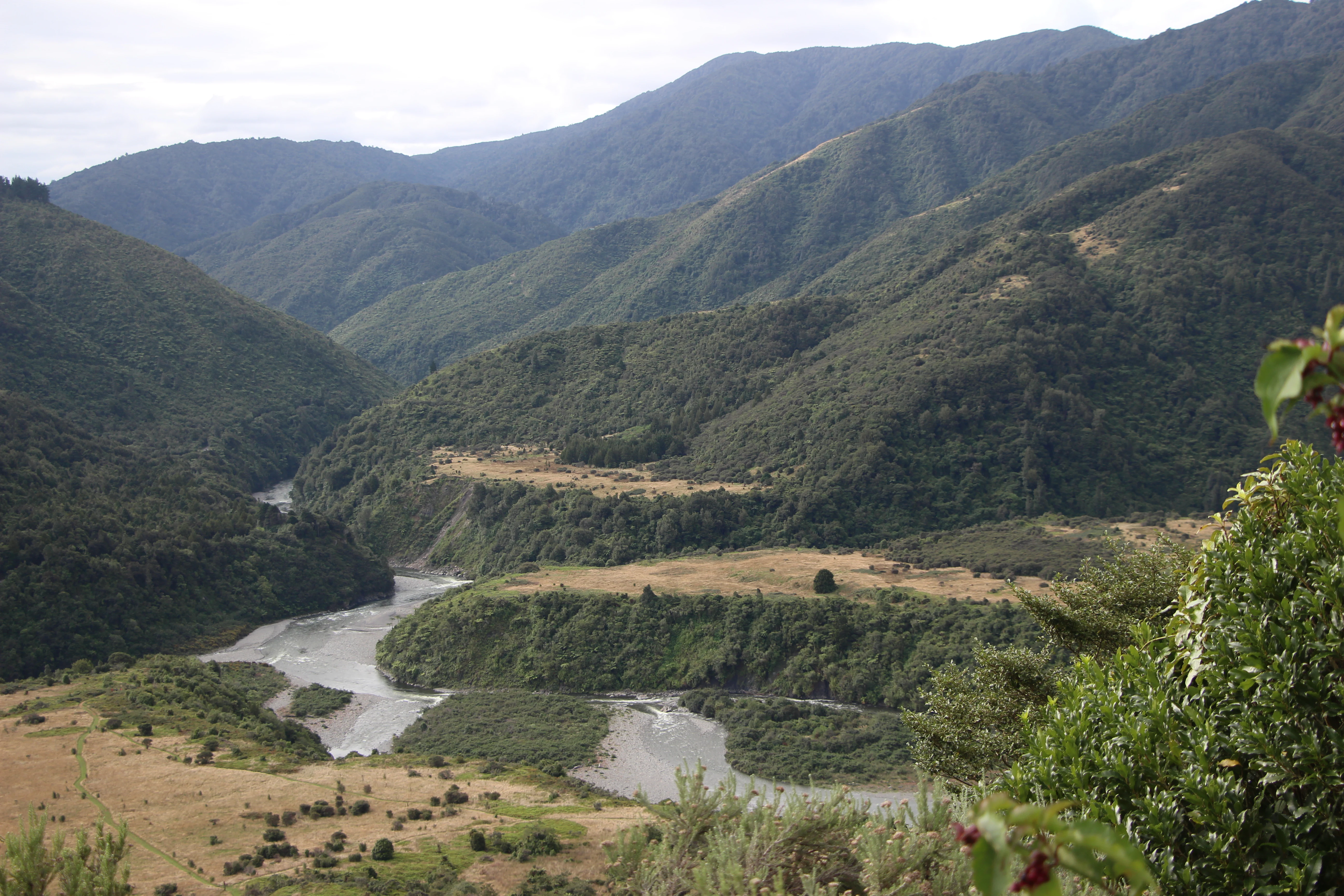 A wide, eye-level landscape shot featuring a winding river cutting through green, forested mountain slopes in New Zealand.