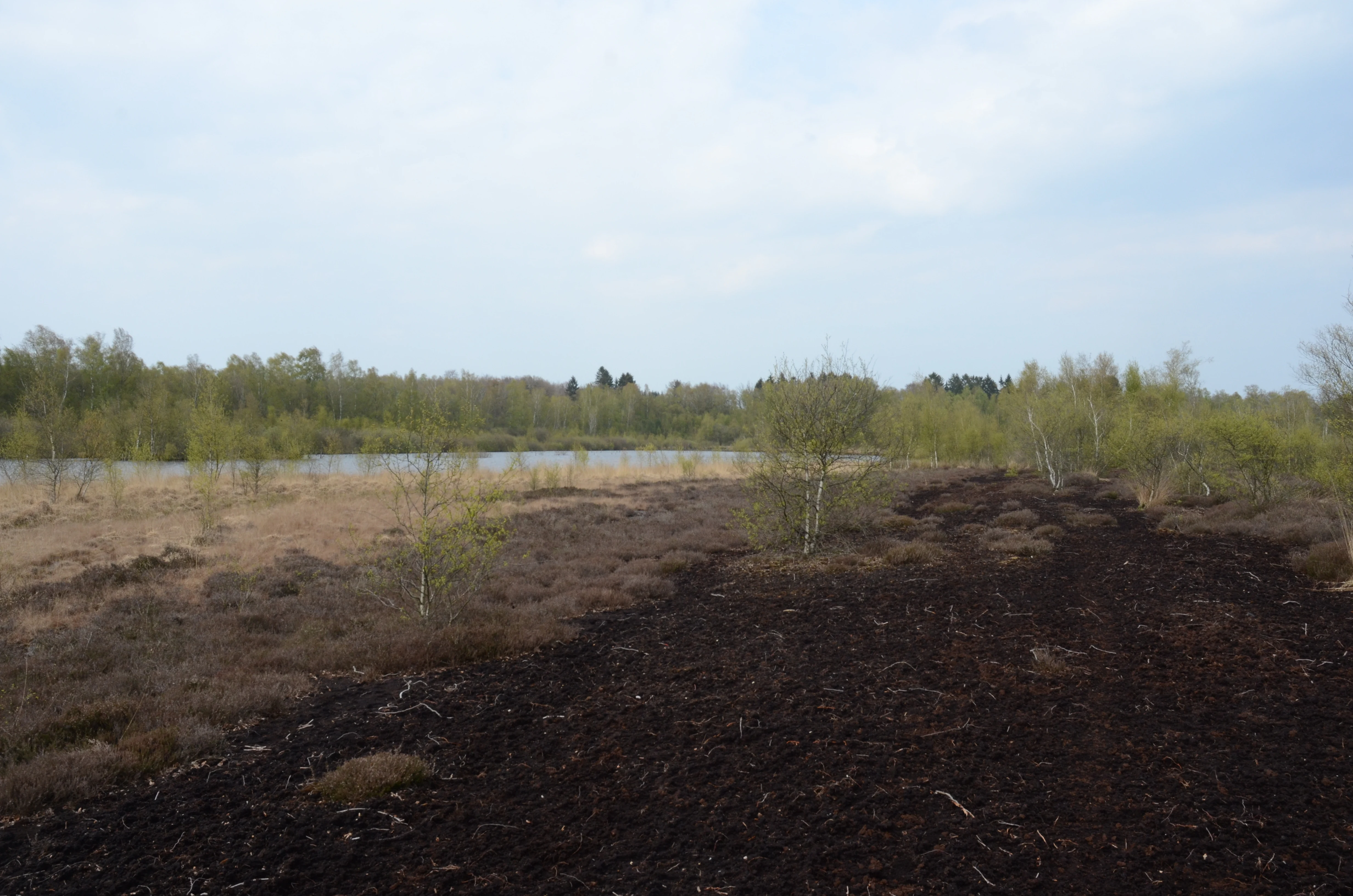 A wide view of a peat bog landscape with dark, exposed soil in the foreground, sparse vegetation, and a water body in the midground under an overcast sky.