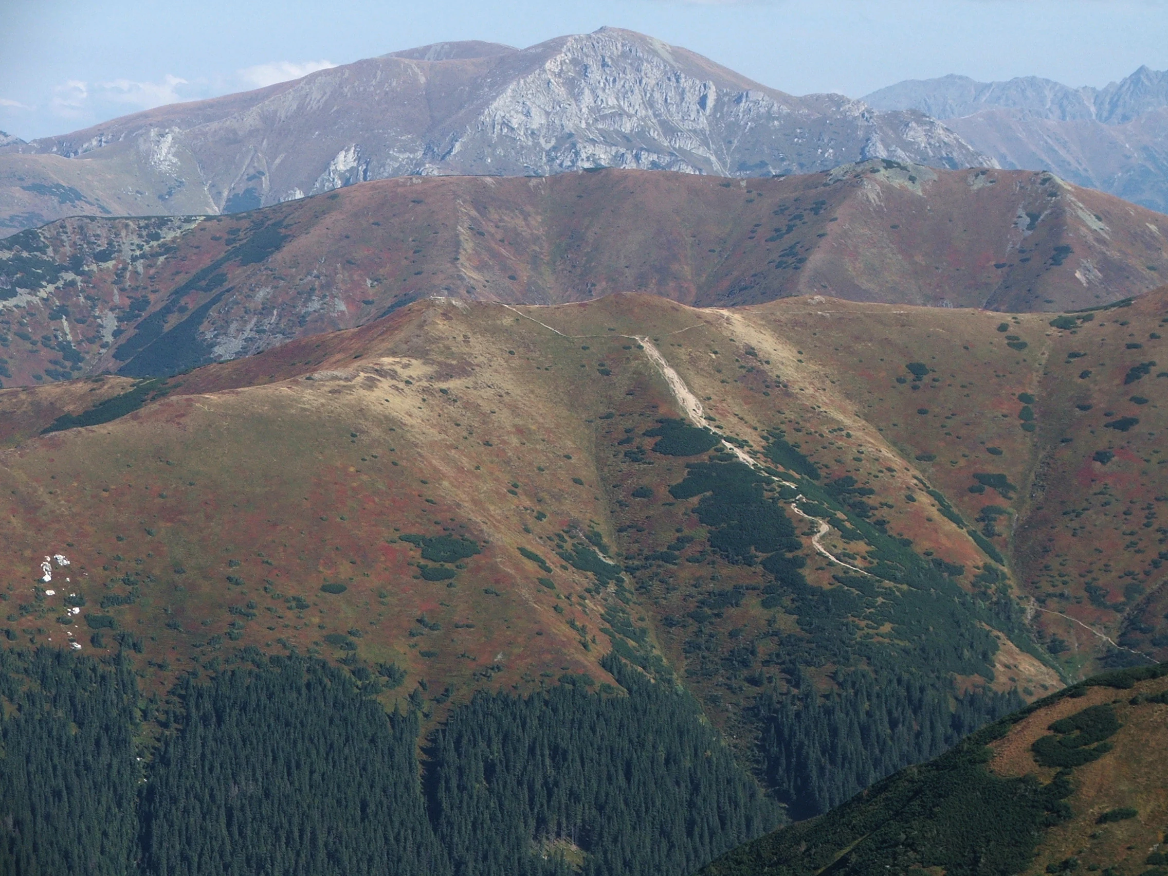 Una vista amplia de paisaje montañoso a nivel de los ojos, con crestas en capas, picos y laderas alpinas cubiertas de vegetación otoñal de color marrón rojizo y bosques de pinos verde oscuro.