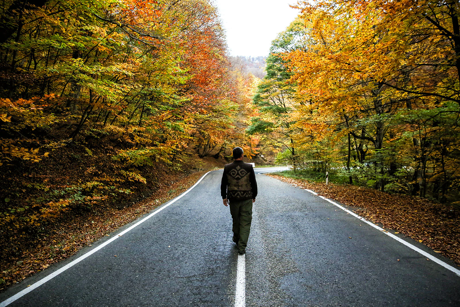 A person walking on a paved road surrounded by autumn-colored trees