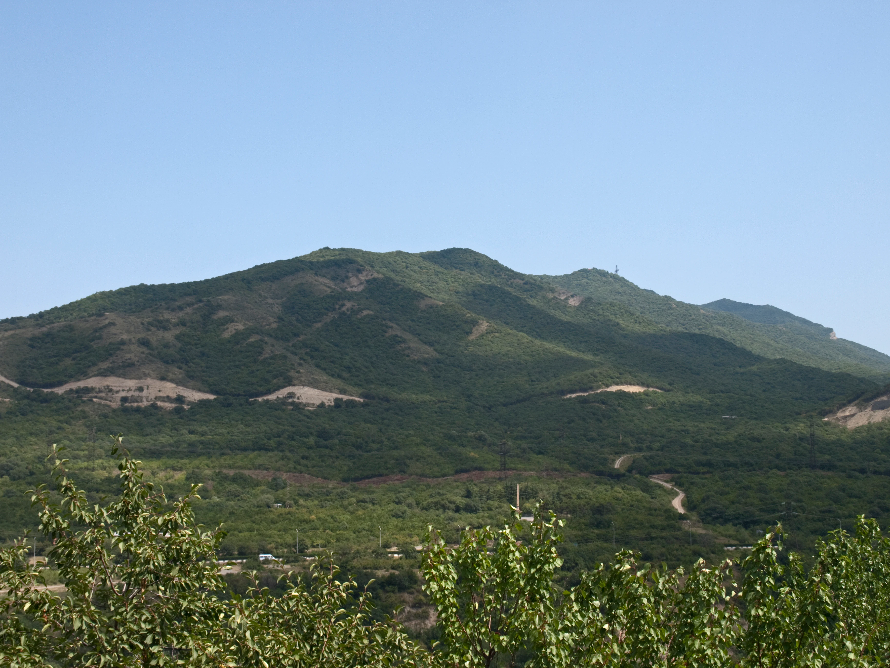 A landscape view of green mountain slopes with dense forests under a clear blue sky