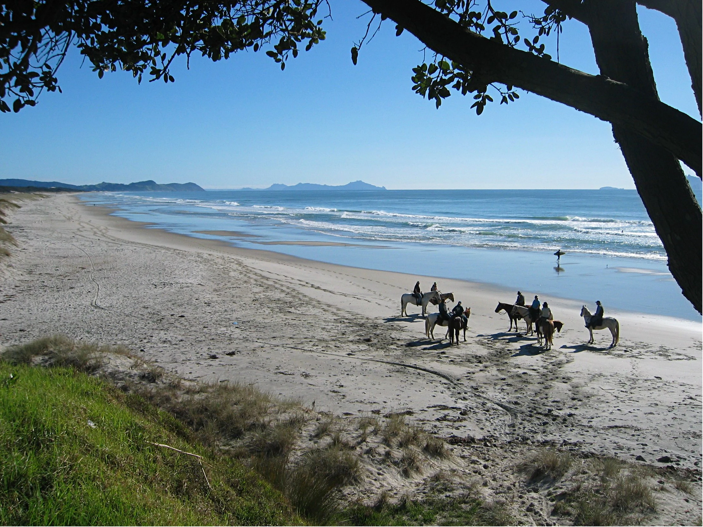 A wide coastal beach scene featuring a group of people horseback riding on the sand under a clear blue sky, with a surfer visible in the water.