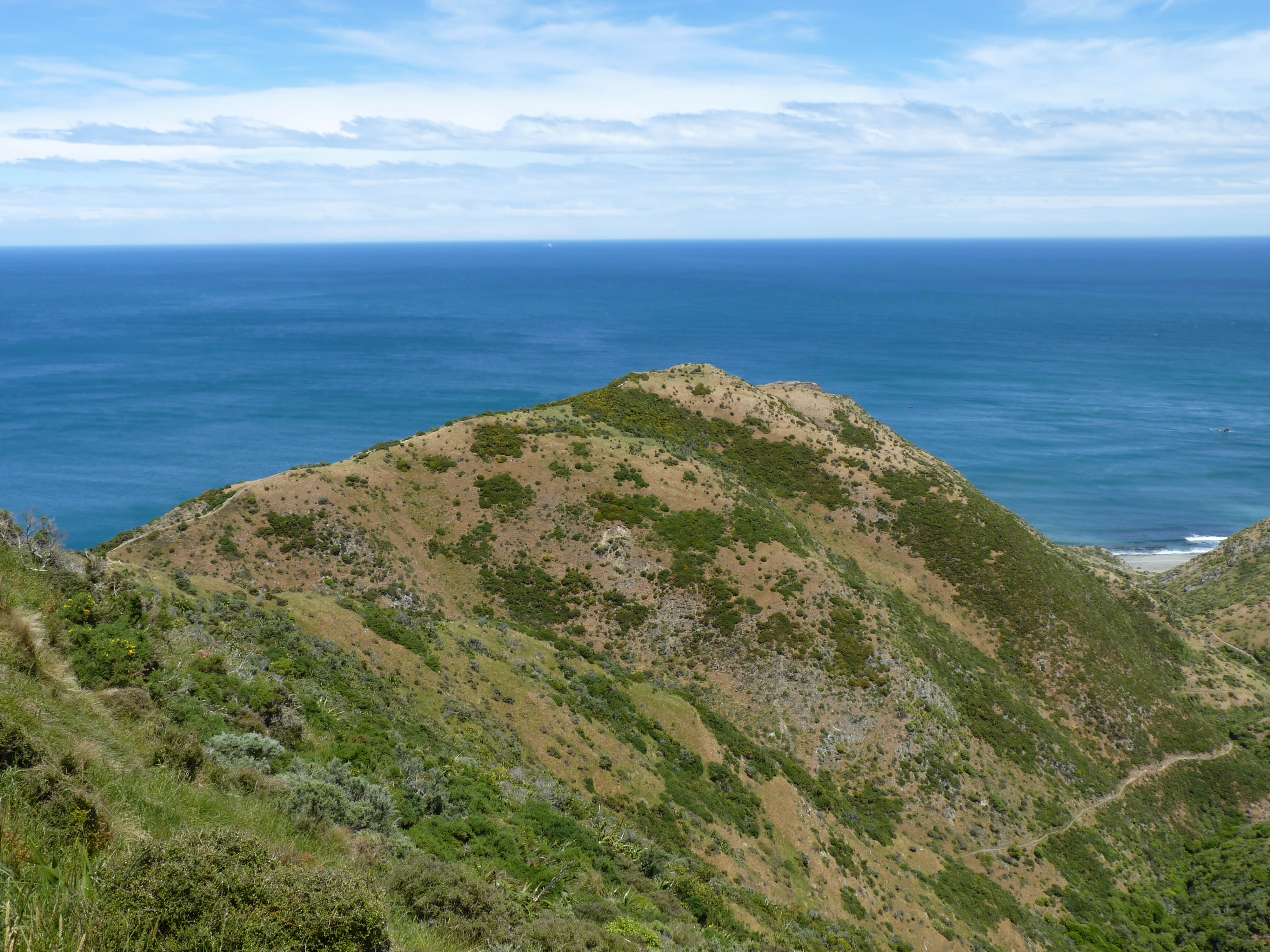 A wide view of a scrub-covered coastal hill sloping down toward the dark blue ocean, under a cloudy sky.