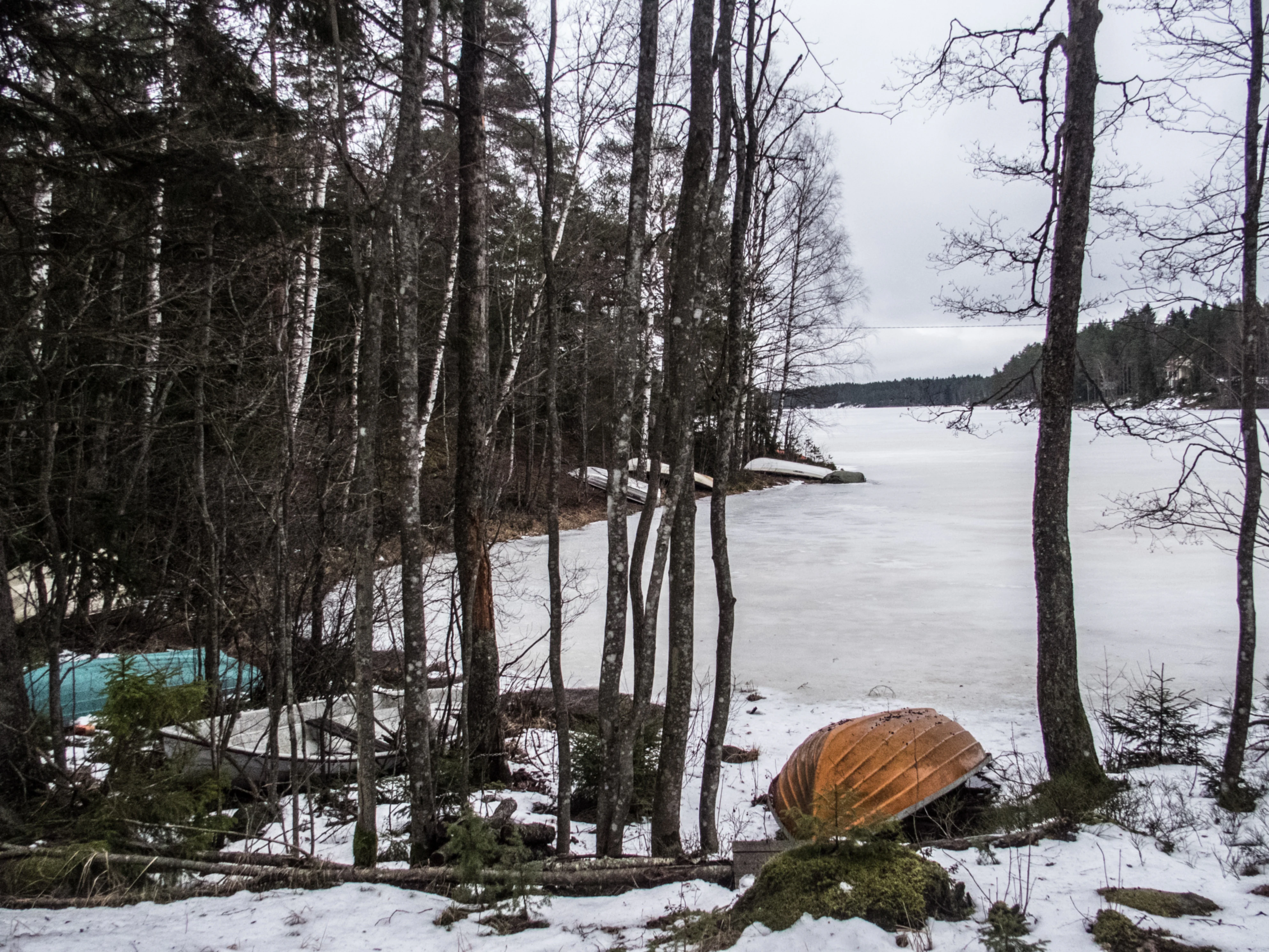 Snow-covered shoreline of a frozen lake with tall trees and a wooden structure partially buried in snow