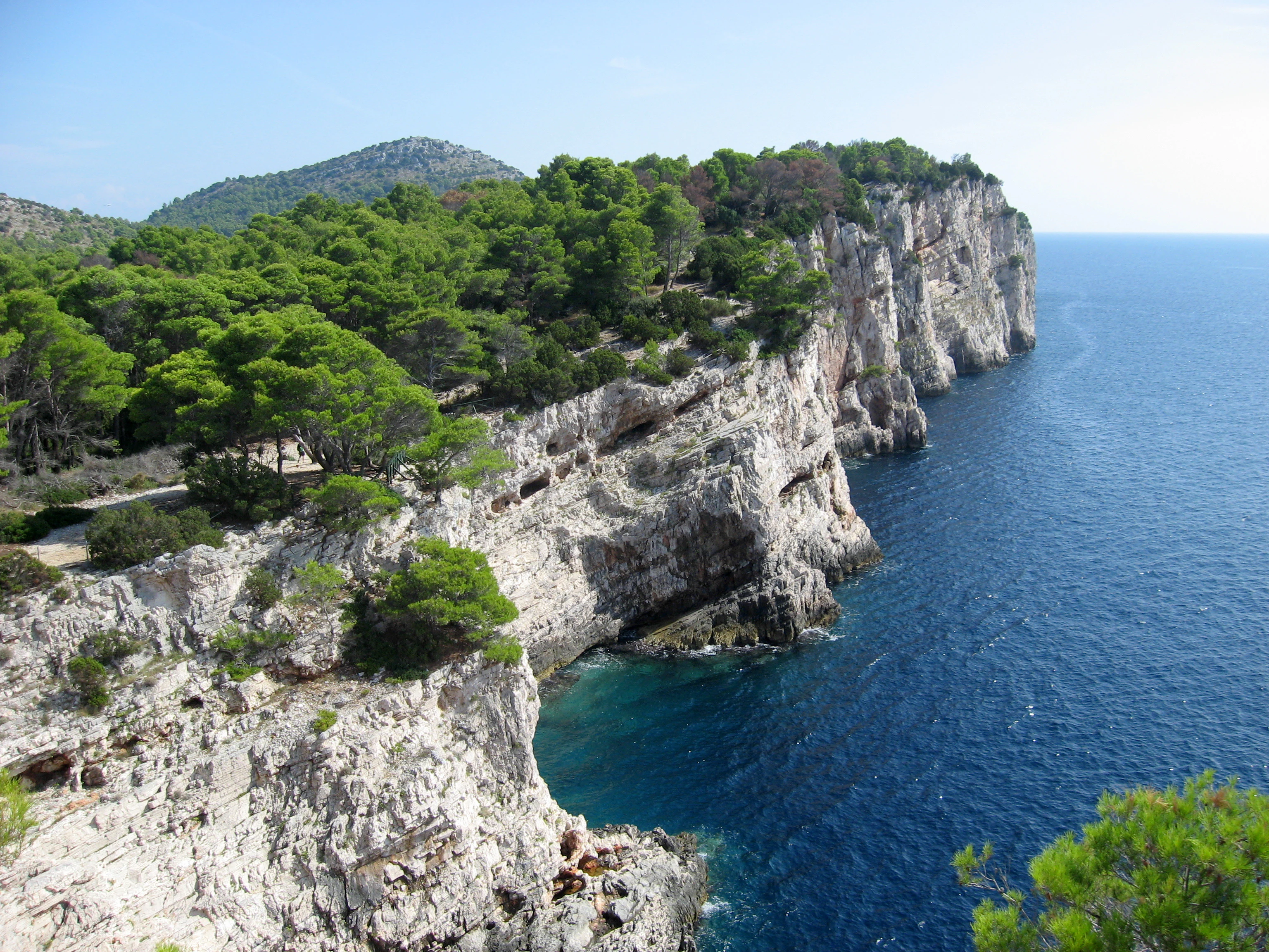 Cliffs with white rock faces overlooking deep blue sea, green trees on top of cliffs, clear sky