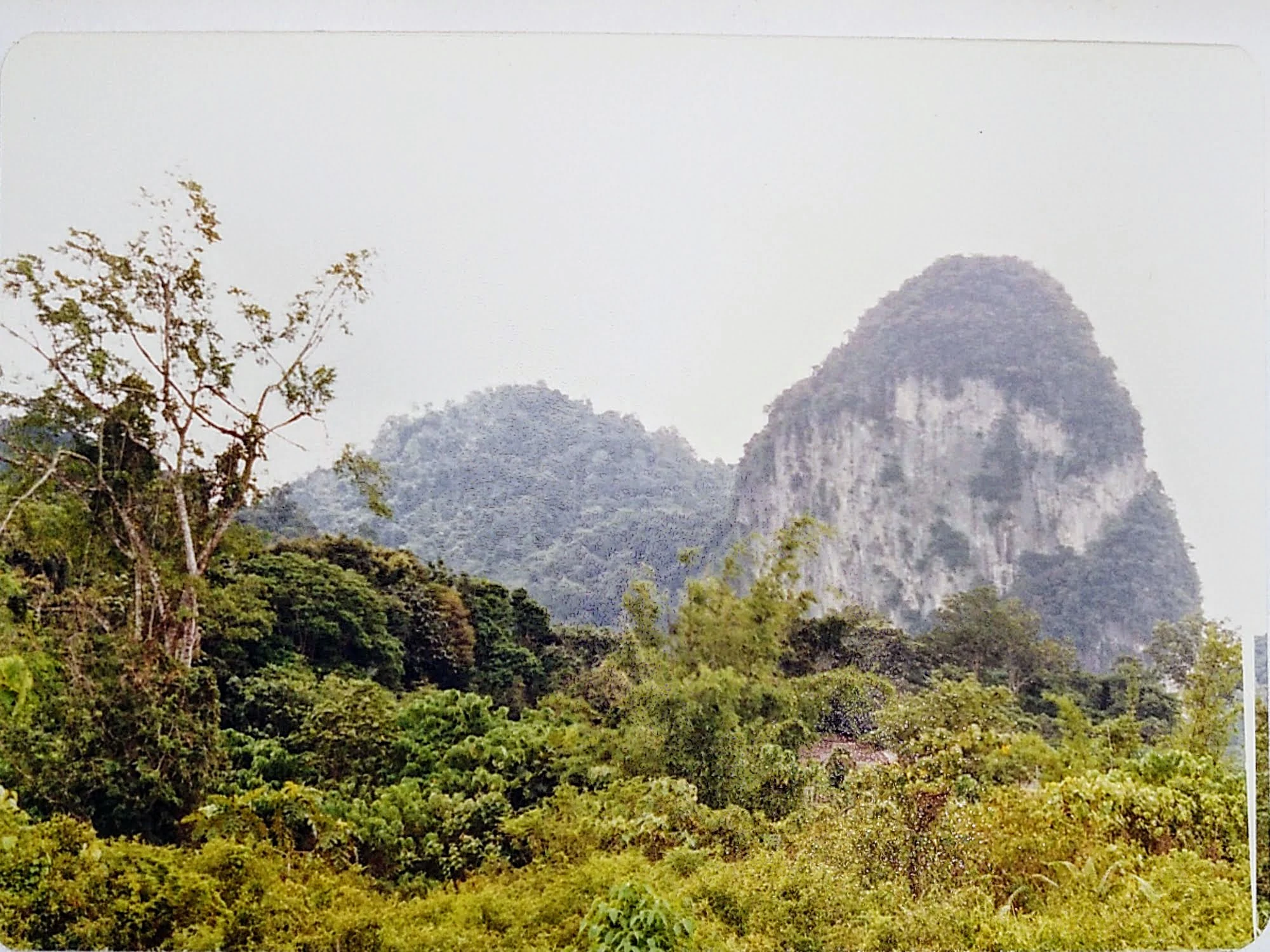 A 1986 photograph showing steep, jungle-covered limestone hills rising above a lush, green forest canopy in Malaysia.