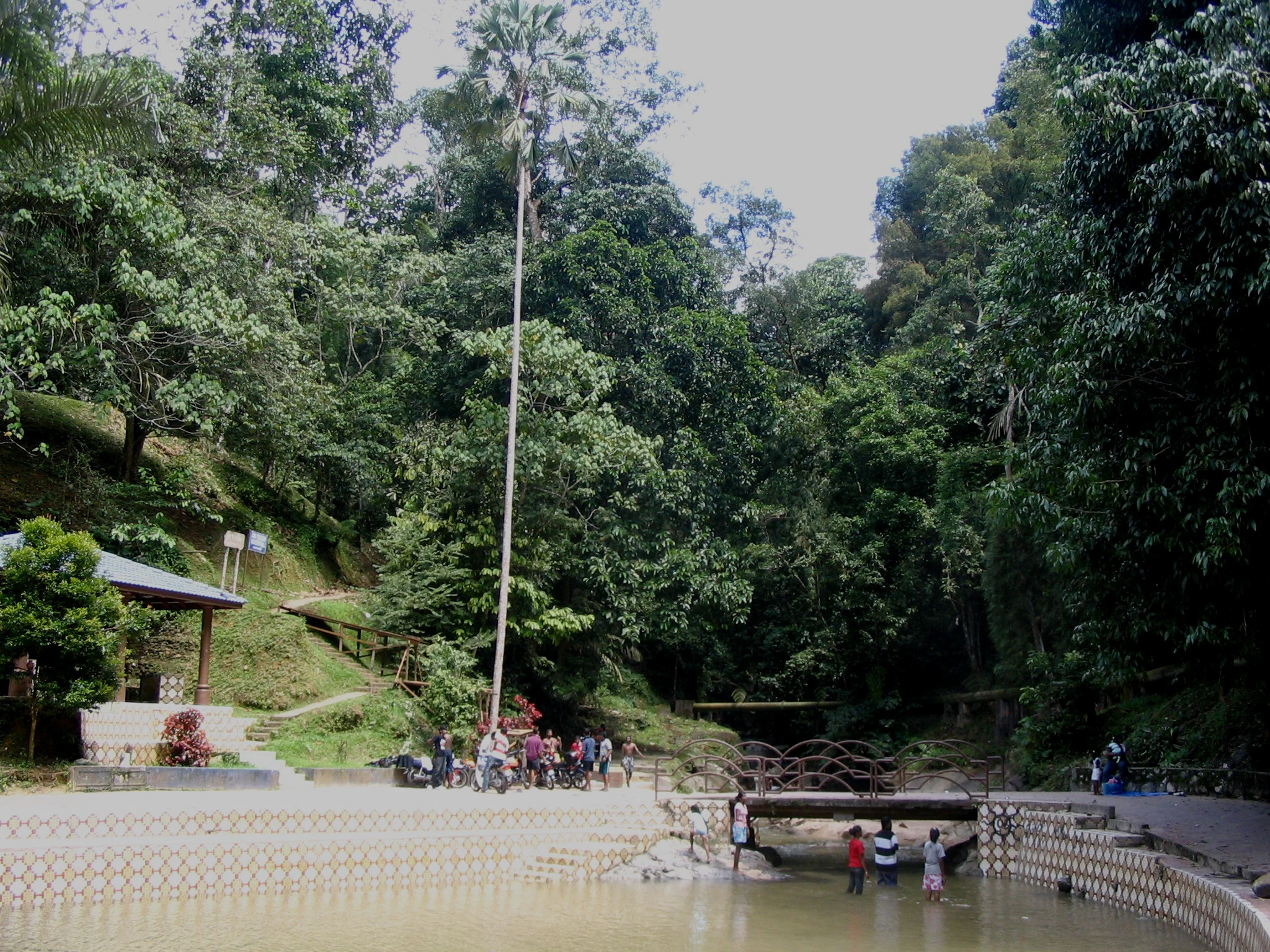 A view of a park area with a shallow, concrete-lined pool in the foreground, a small bridge, and dense forest in the background with people gathering near the water.
