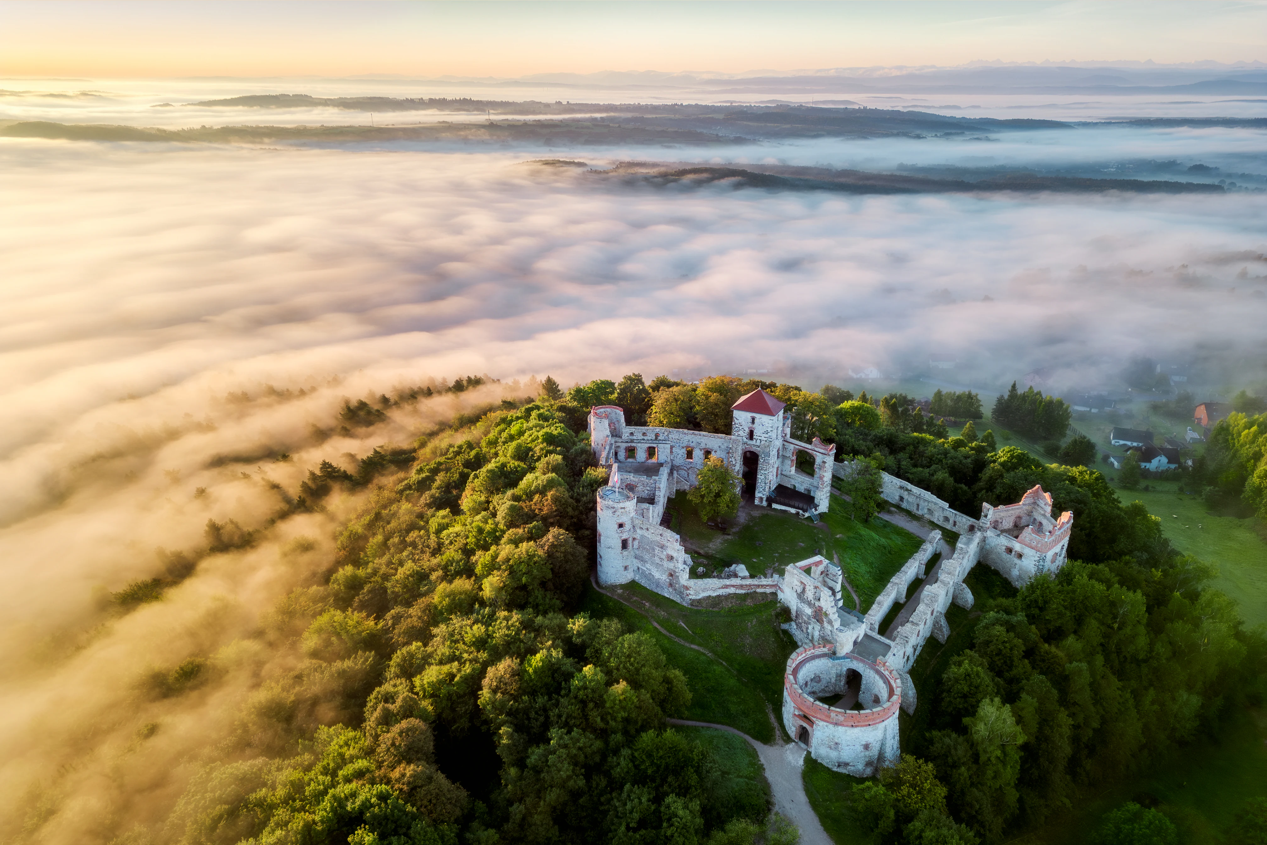 An aerial view of the stone ruins of Tenczyn Castle perched on a forested hill above a thick layer of morning fog.