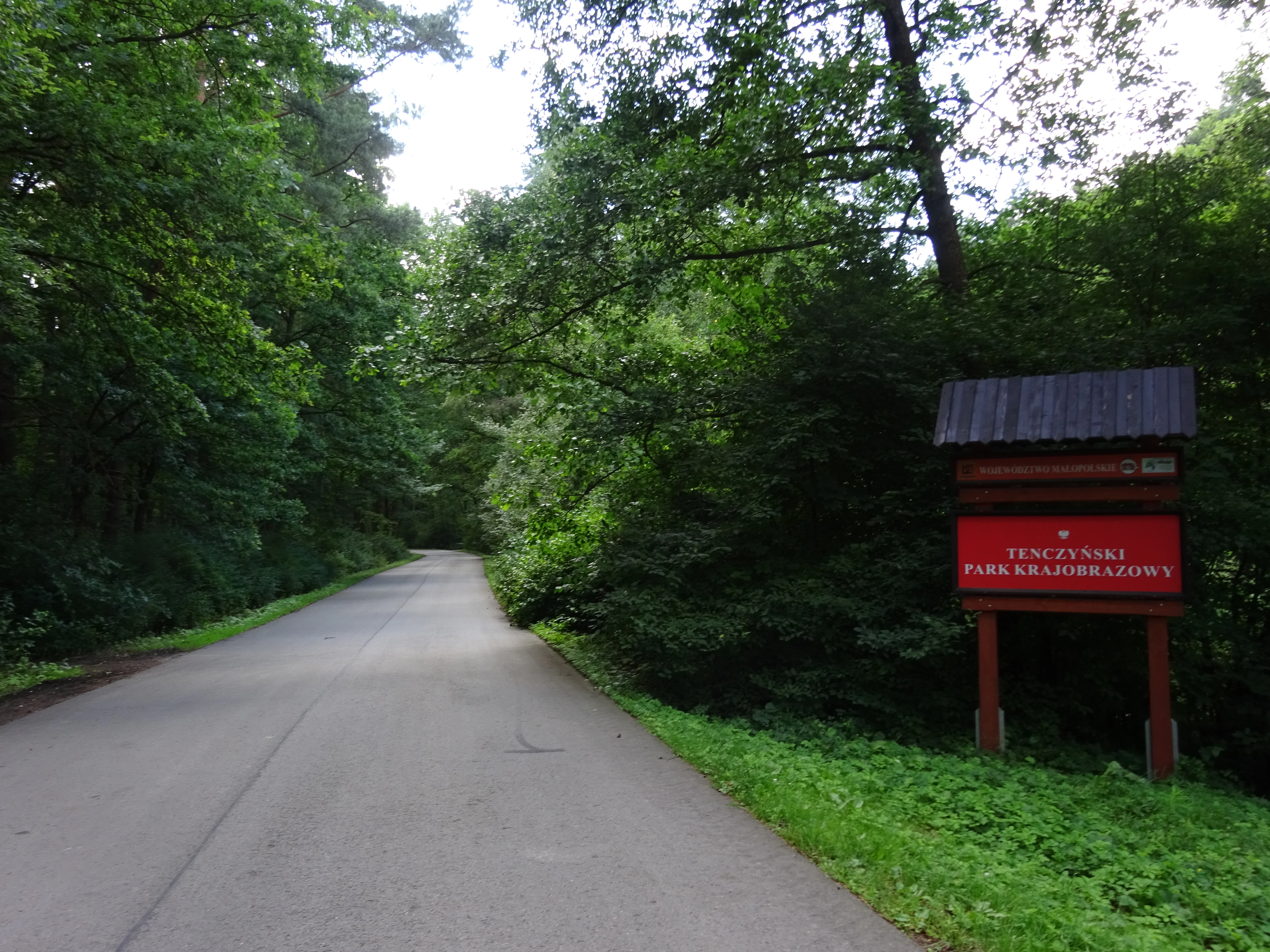 An asphalt road leads into a dense green forest, with a red park entrance sign on the right side of the road.