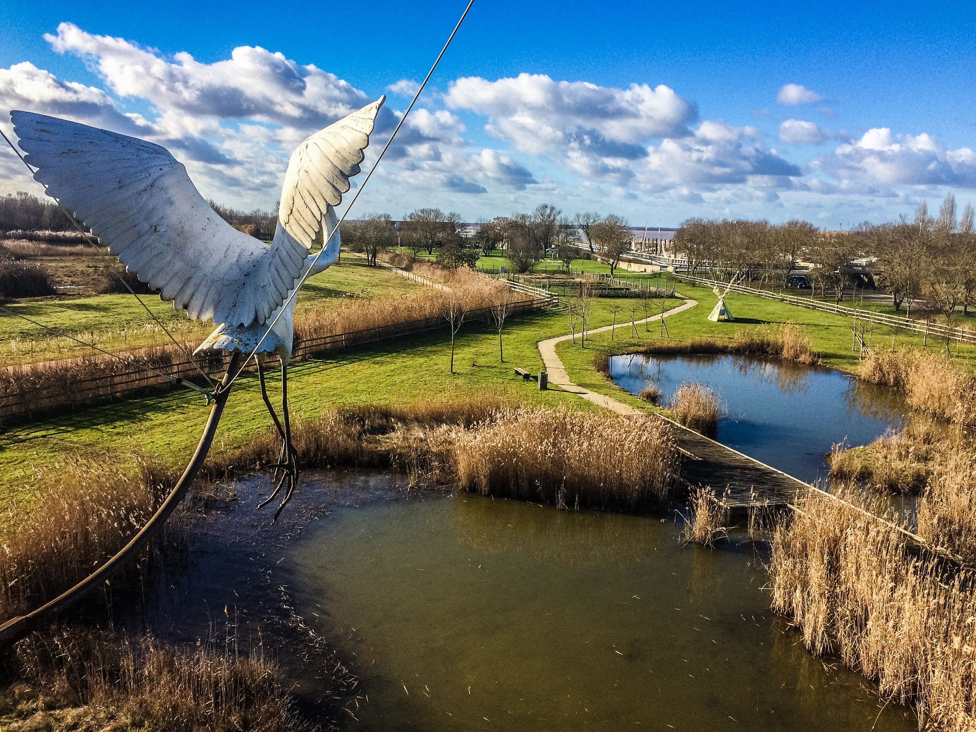 A high-angle view of a wetland reserve with ponds, grassy paths, and a prominent metal sculpture of a large bird in flight in the foreground.