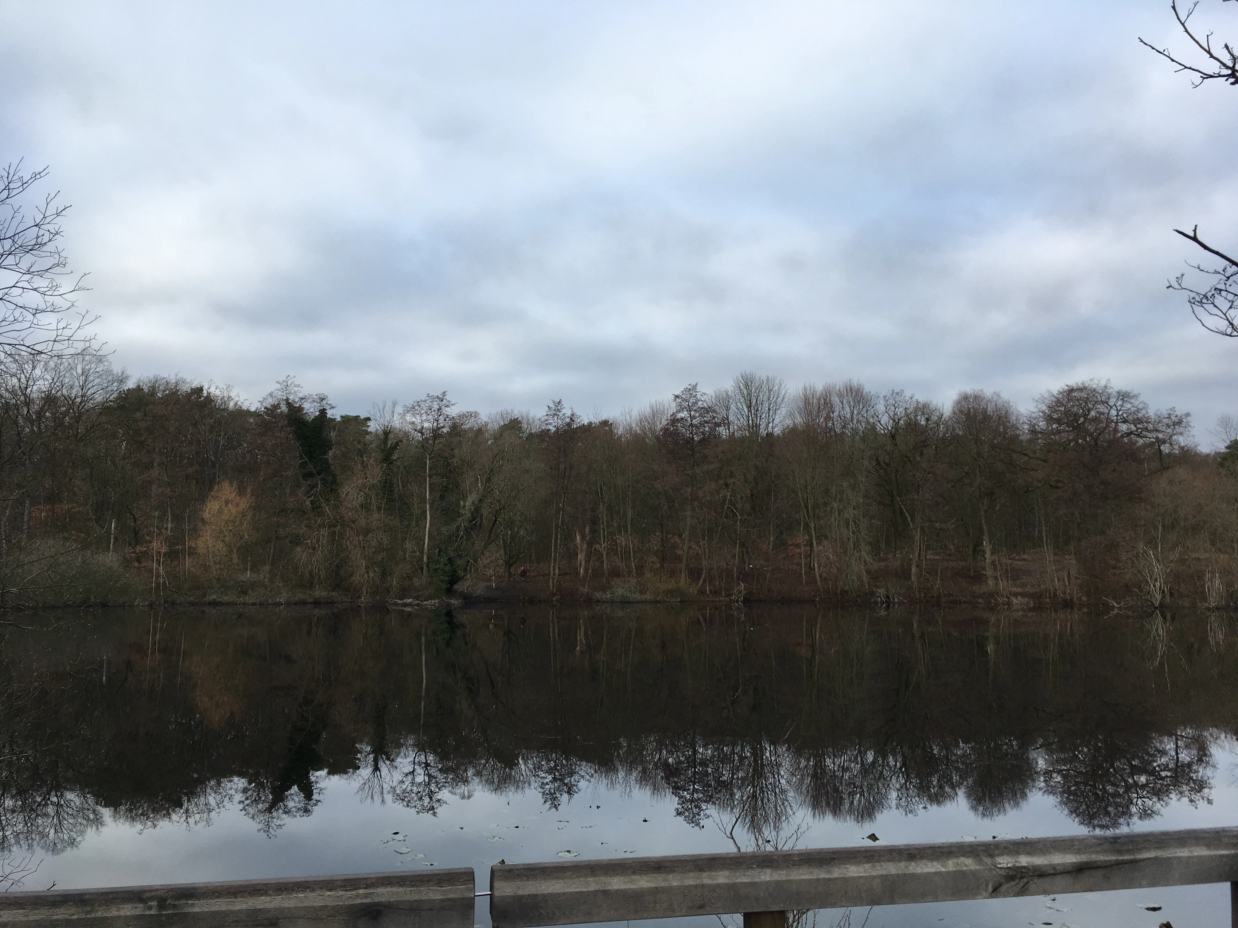 A calm lake reflects the surrounding forest under an overcast sky, viewed from a wooden boardwalk in the foreground.