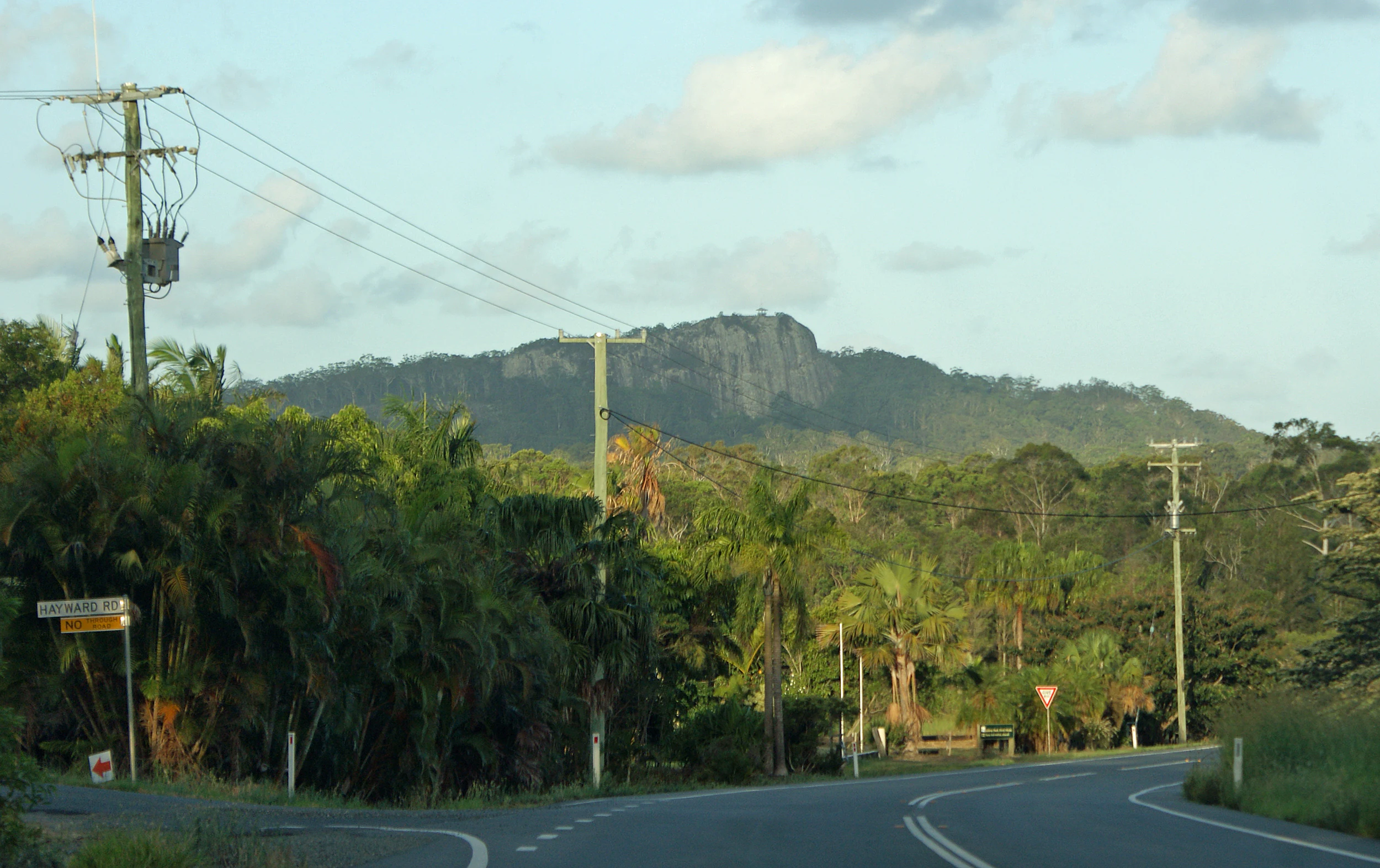Carretera con postes de servicios públicos y vegetación tropical que conduce al monte Tinbeerwah al fondo