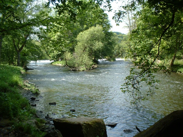 A river flows through a lush green forested valley with rocks and trees lining the banks