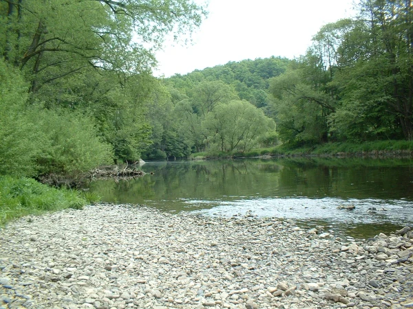 River with pebbly shore surrounded by green trees and hills under overcast sky