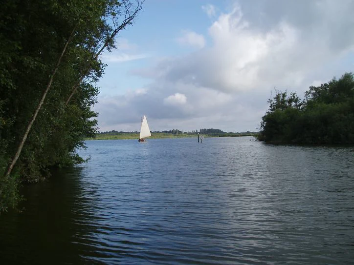 Calm water of Barton Broad with a white sailboat, trees on the left, and partly cloudy sky