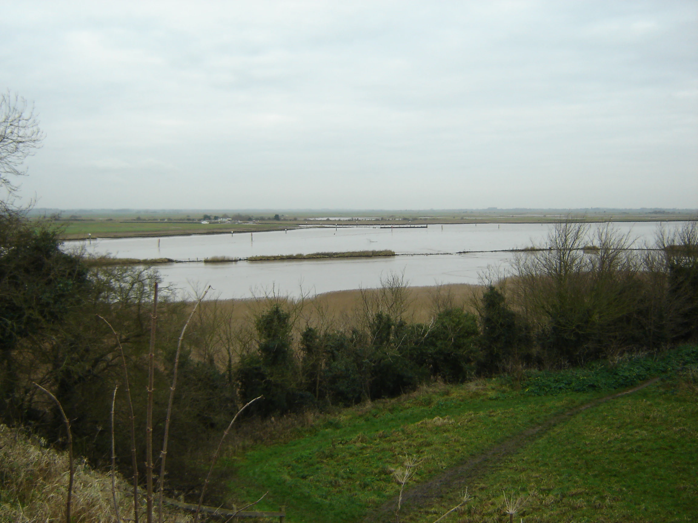 Wide landscape view of Breydon Water with a large body of water, grassy fields, and trees under an overcast sky.