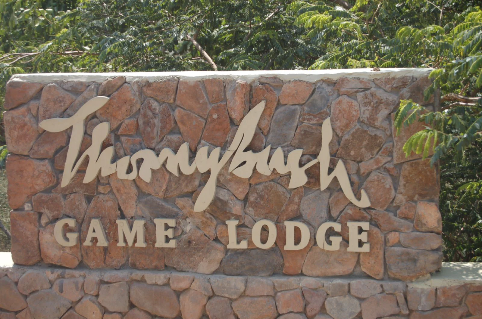 A stone monument sign reading Thornybush Game Lodge in elegant script and block letters, set against a backdrop of green foliage.