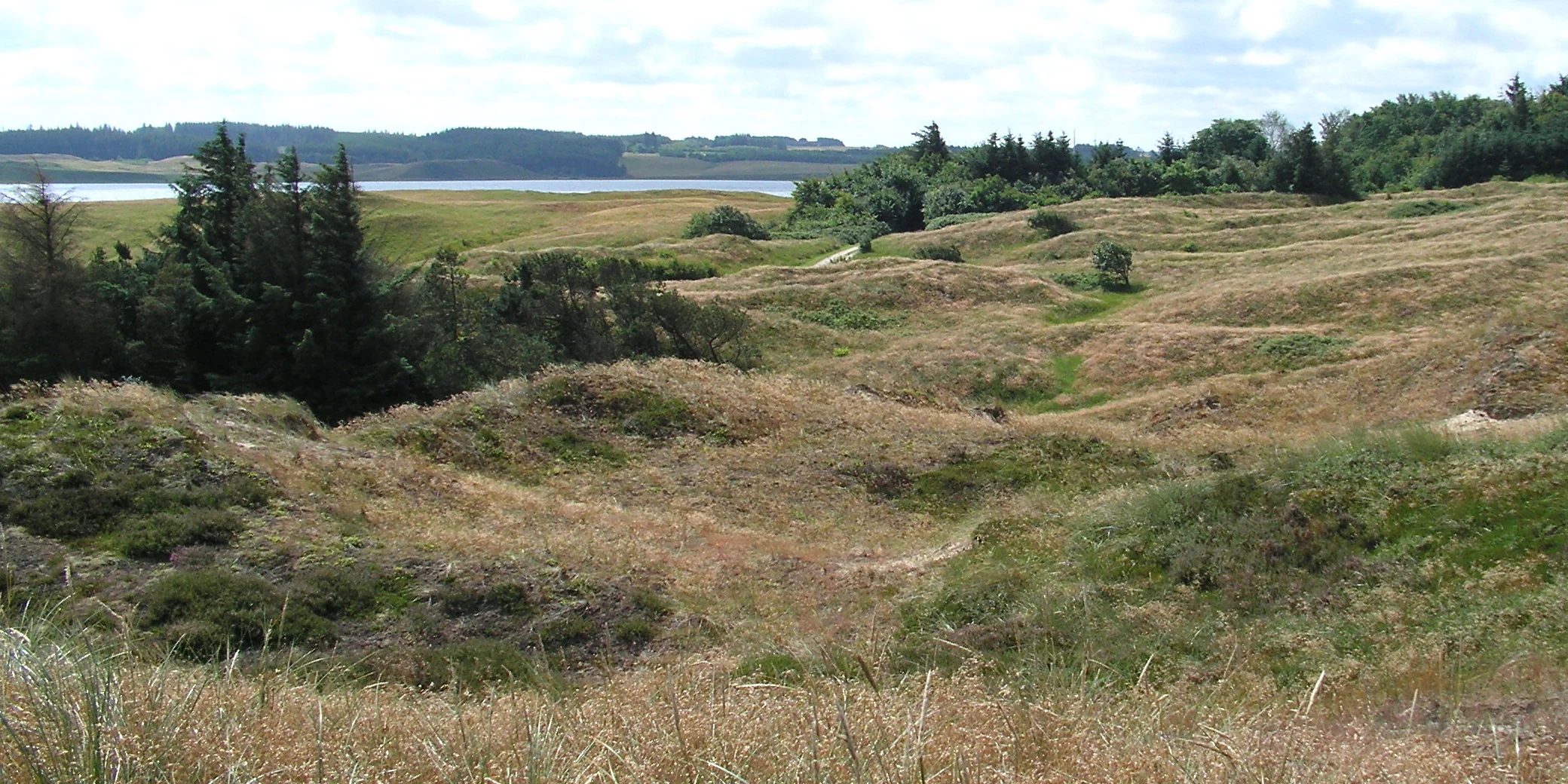 Wide view of sand dunes covered with heath vegetation and grasses, with a body of water and distant land visible in the background under a partly cloudy sky.