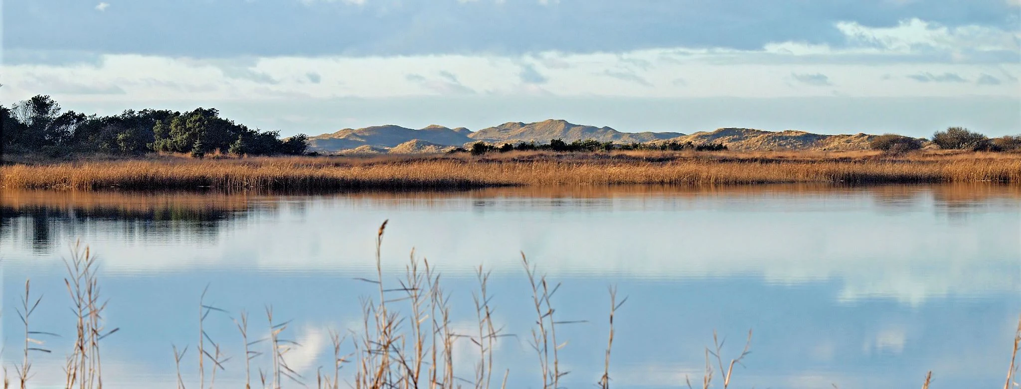 A calm lake reflecting the sky and distant hills with tall reeds in the foreground